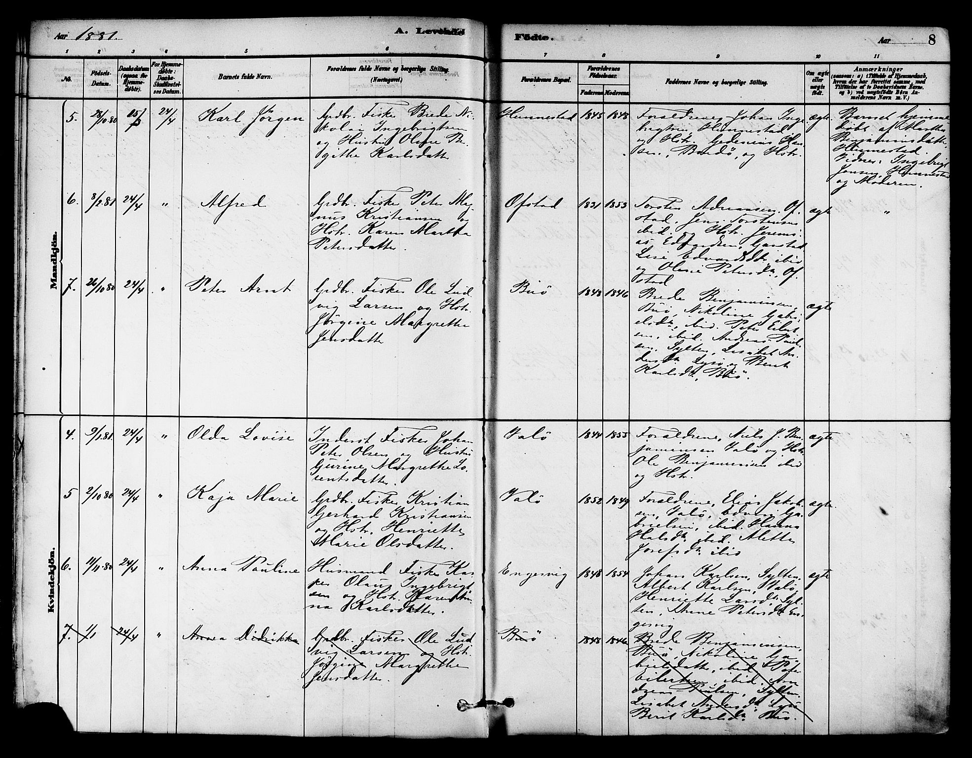 Ministerialprotokoller, klokkerbøker og fødselsregistre - Nord-Trøndelag, SAT/A-1458/786/L0686: Ministerialbok nr. 786A02, 1880-1887, s. 8