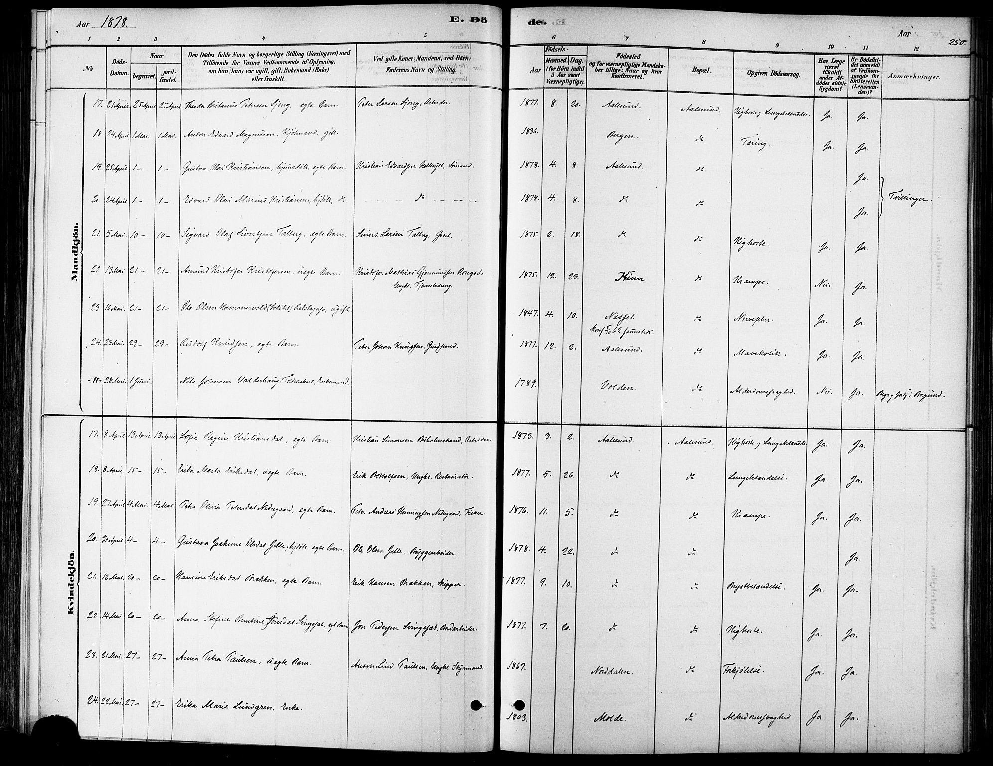 Ministerialprotokoller, klokkerbøker og fødselsregistre - Møre og Romsdal, SAT/A-1454/529/L0454: Ministerialbok nr. 529A04, 1878-1885, s. 250