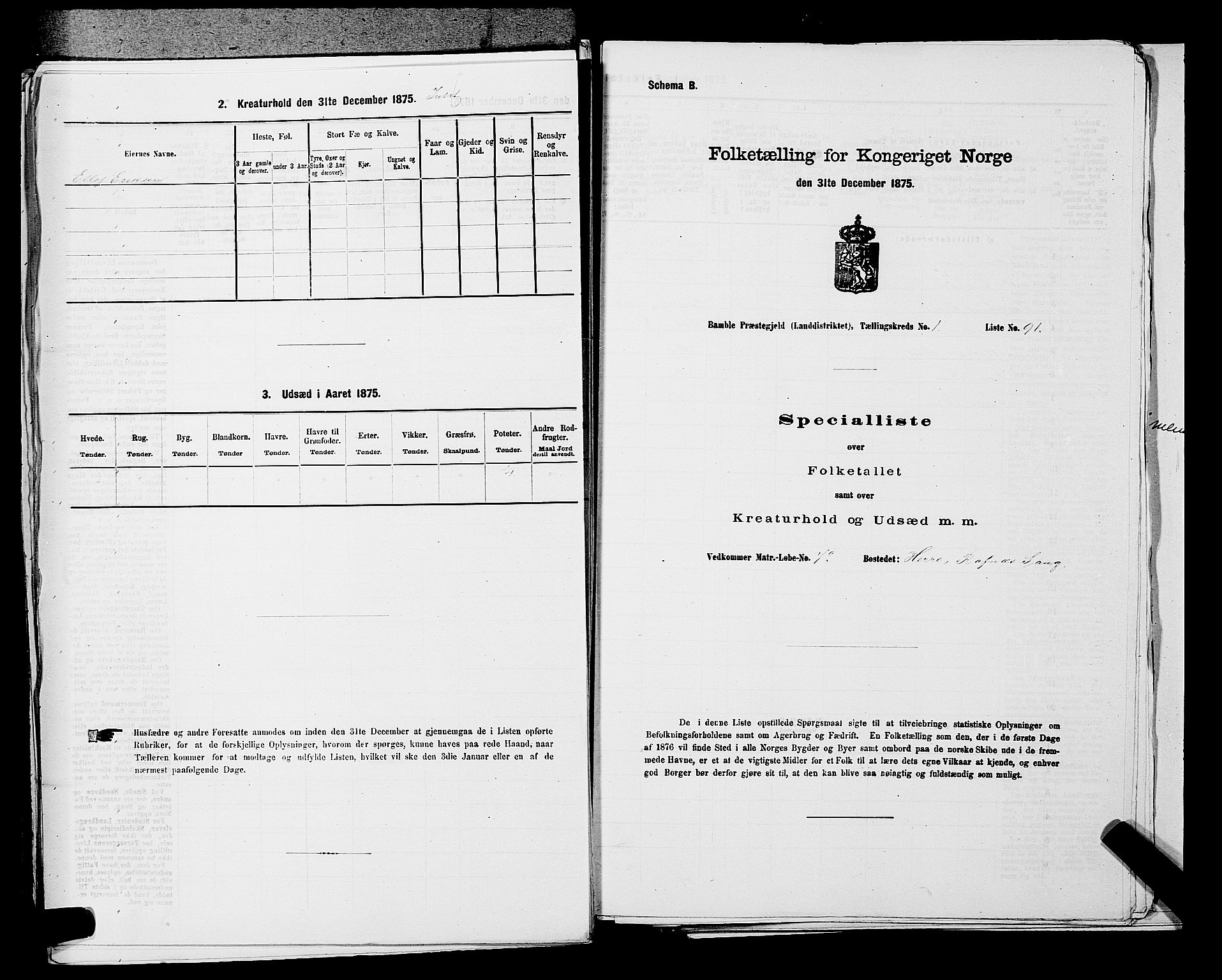 SAKO, Folketelling 1875 for 0814L Bamble prestegjeld, Bamble sokn, 1875, s. 244