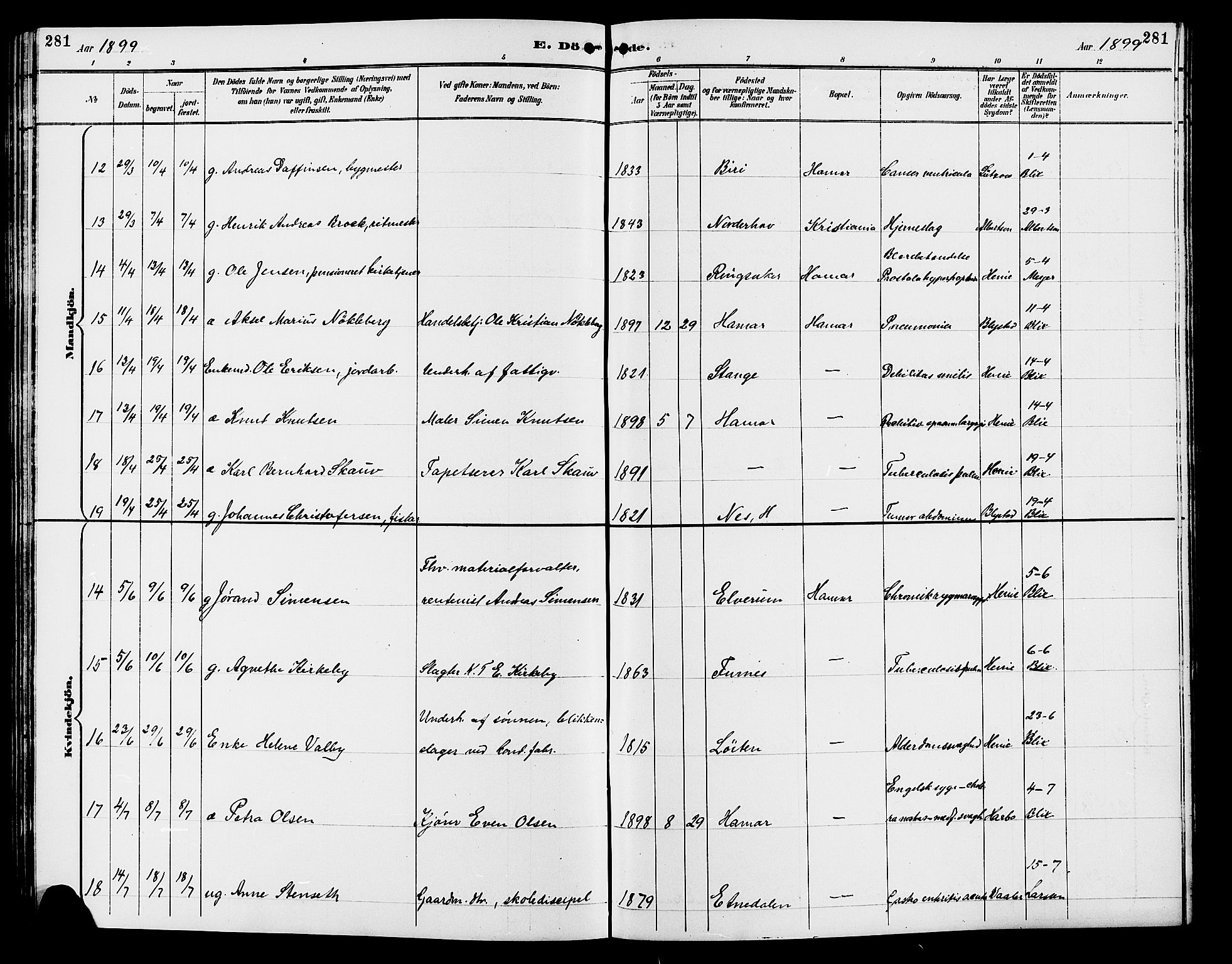 Vang prestekontor, Hedmark, AV/SAH-PREST-008/H/Ha/Hab/L0013: Klokkerbok nr. 13, 1890-1899, s. 281