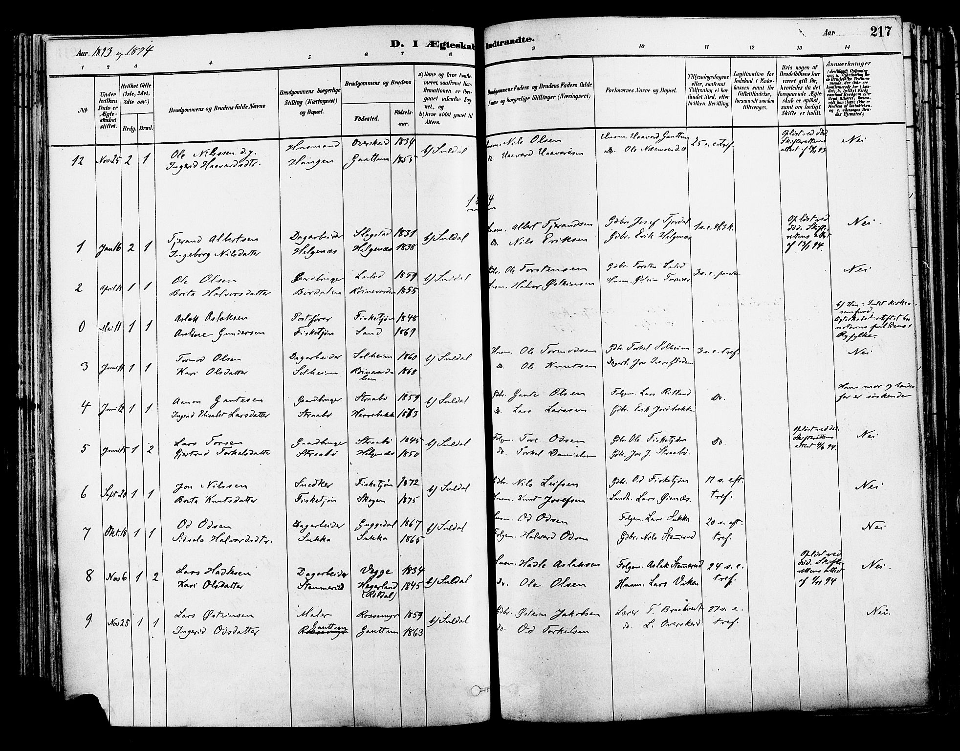 Suldal sokneprestkontor, SAST/A-101845/01/IV/L0011: Ministerialbok nr. A 11, 1878-1900, s. 217