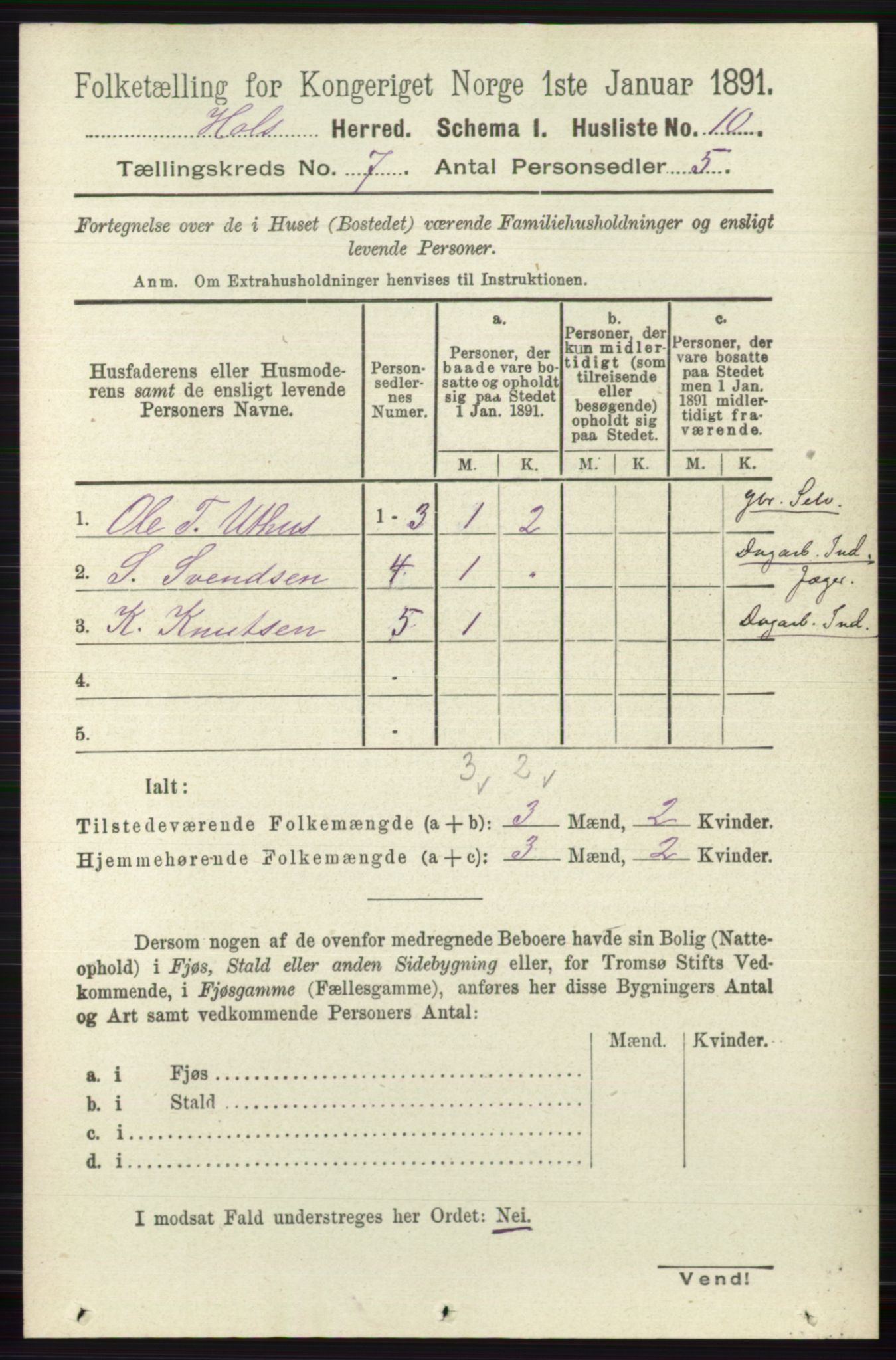 RA, Folketelling 1891 for 0620 Hol herred, 1891, s. 1985