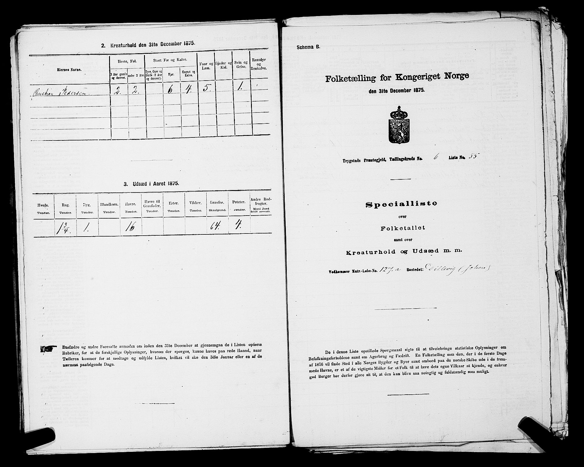 RA, Folketelling 1875 for 0122P Trøgstad prestegjeld, 1875, s. 733