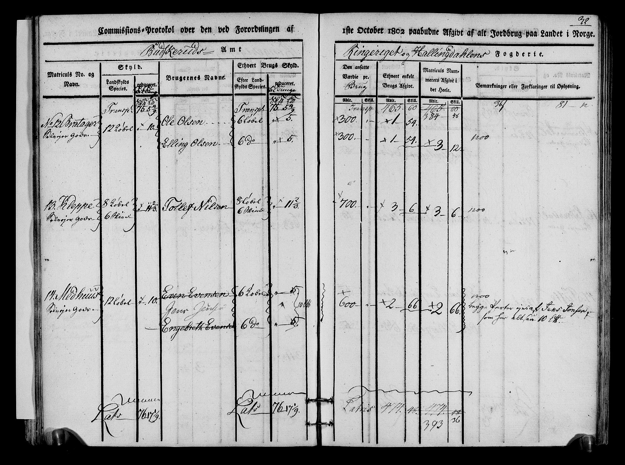 Rentekammeret inntil 1814, Realistisk ordnet avdeling, RA/EA-4070/N/Ne/Nea/L0048: Ringerike og Hallingdal fogderi. Kommisjonsprotokoll for Ål prestegjeld, 1803, s. 35