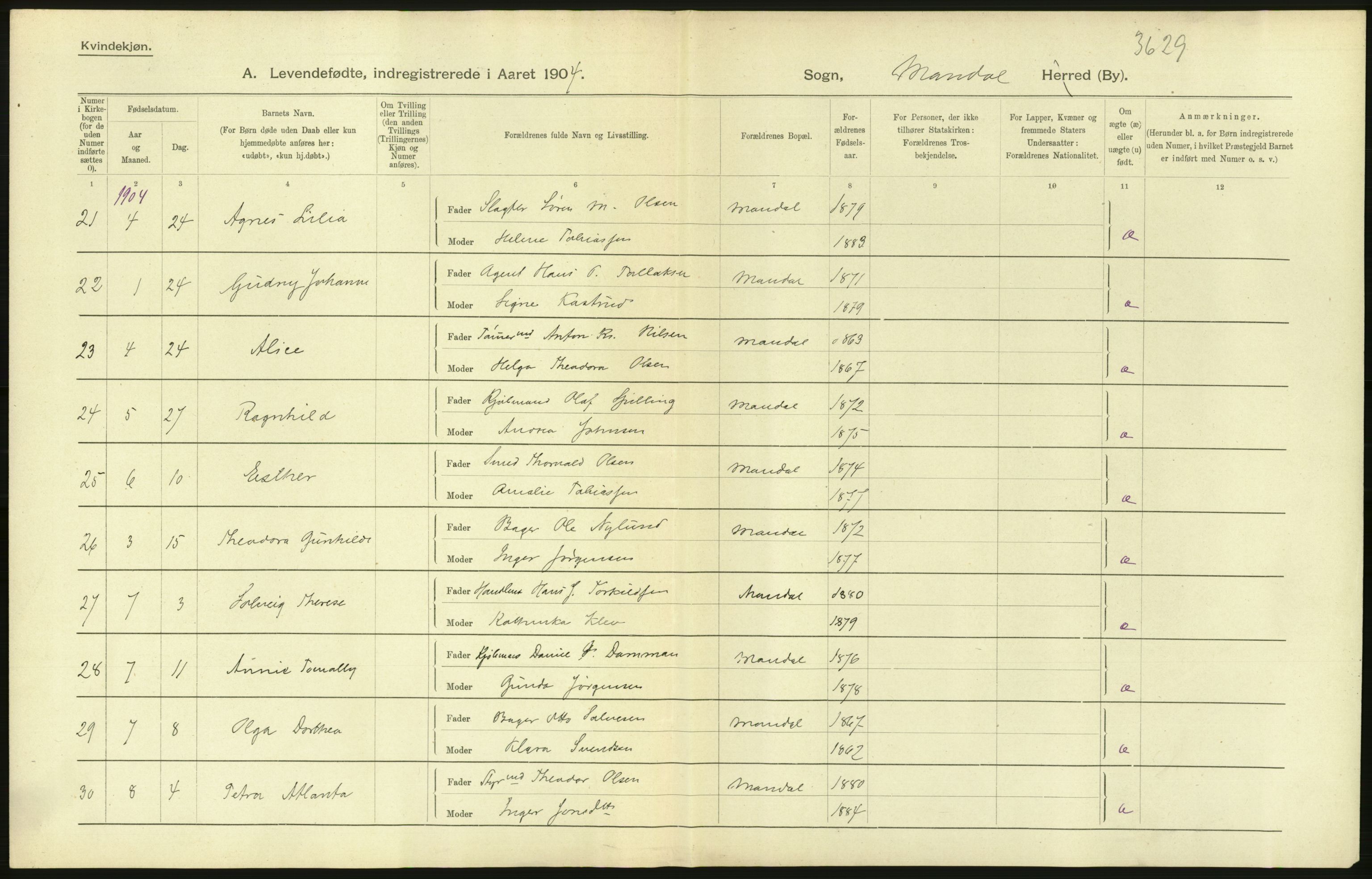 Statistisk sentralbyrå, Sosiodemografiske emner, Befolkning, AV/RA-S-2228/D/Df/Dfa/Dfab/L0011: Lister og Mandals amt: Fødte, gifte, døde, 1904, s. 508