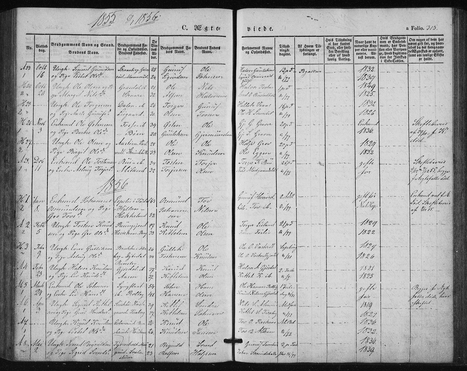 Tinn kirkebøker, AV/SAKO-A-308/F/Fa/L0005: Ministerialbok nr. I 5, 1844-1856, s. 315