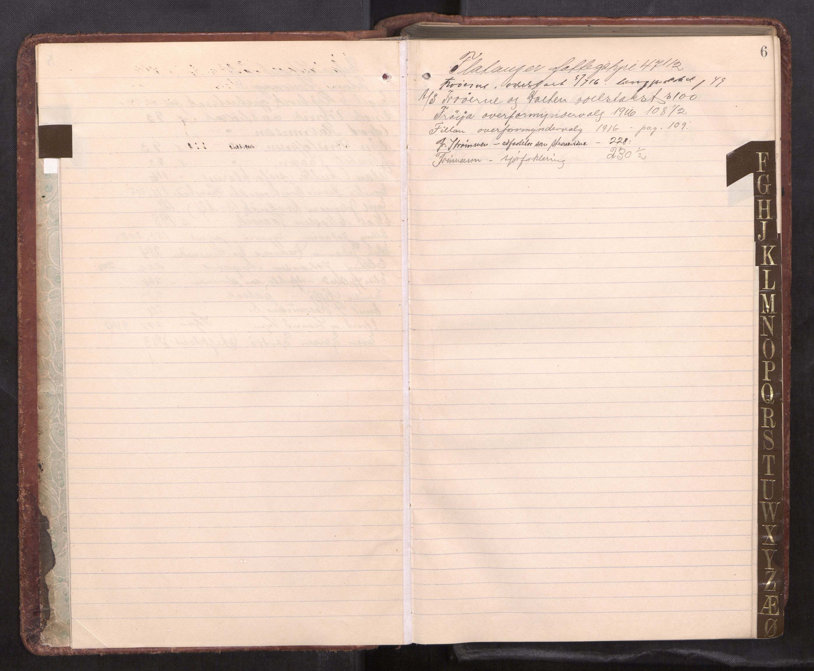 Fosen sorenskriveri, AV/SAT-A-1107/1/1/1B/L0034: Ekstrarettsprotokoll, 1915-1921, s. 5b-6a