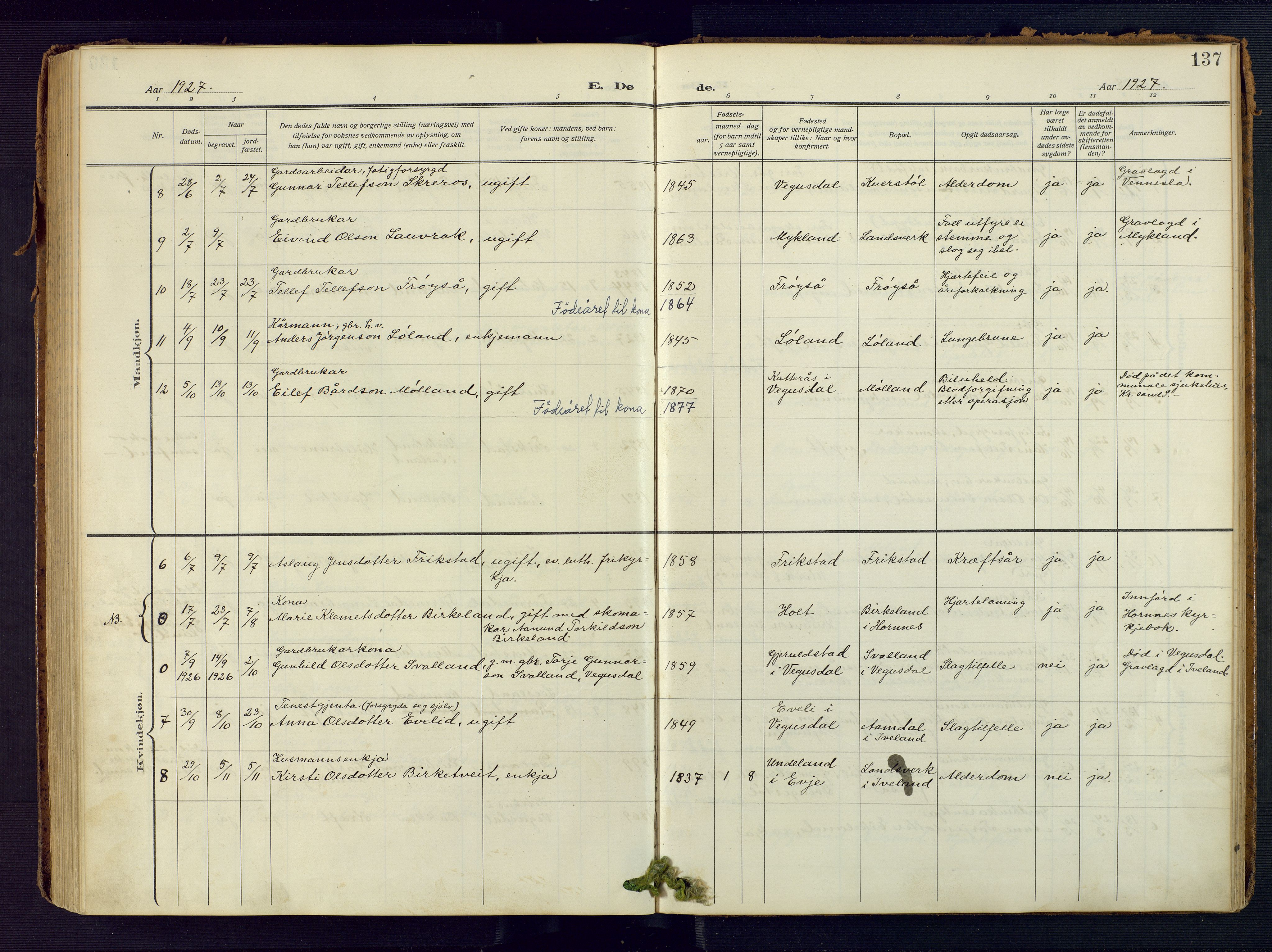 Evje sokneprestkontor, AV/SAK-1111-0008/F/Fa/Fac/L0004: Ministerialbok nr. A 4, 1910-1932, s. 137