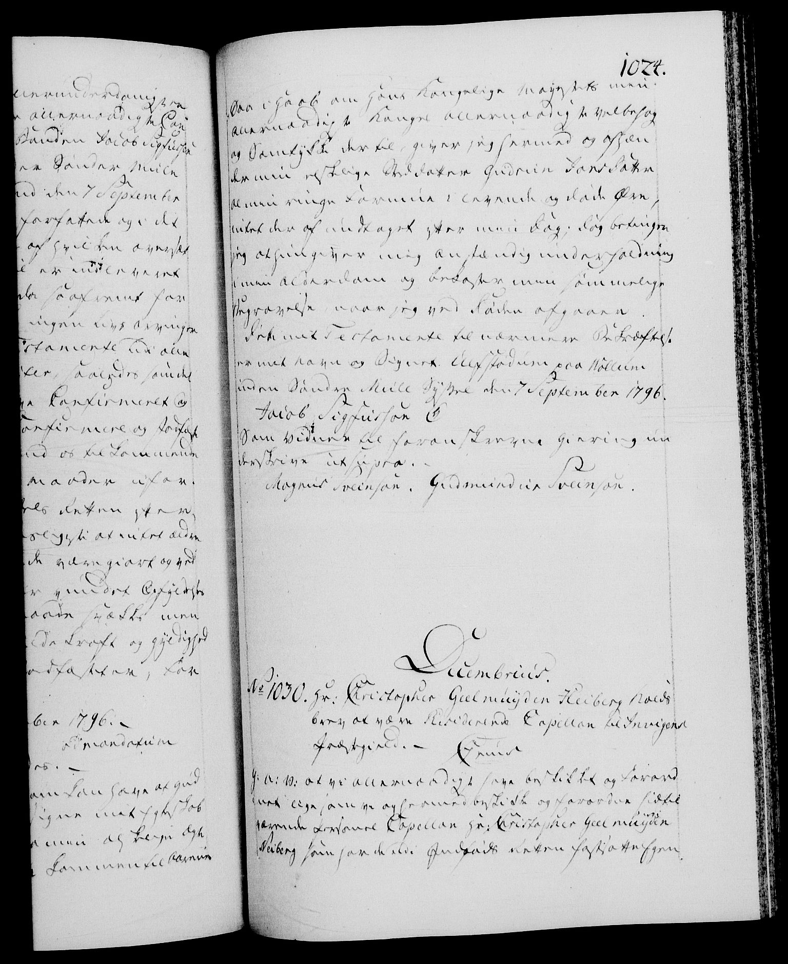 Danske Kanselli 1572-1799, RA/EA-3023/F/Fc/Fca/Fcaa/L0056: Norske registre, 1795-1796, s. 1024a