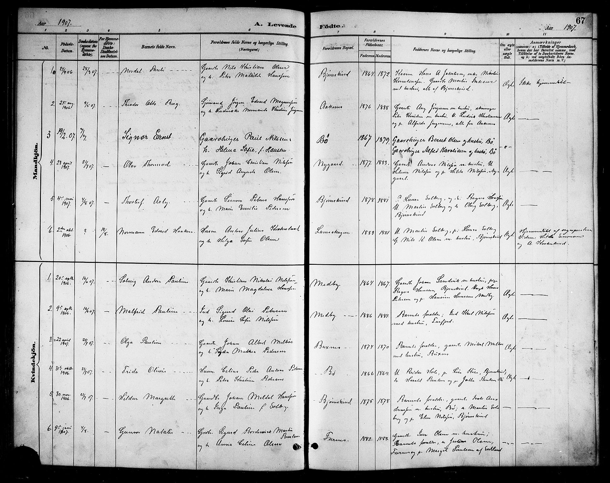 Ministerialprotokoller, klokkerbøker og fødselsregistre - Nordland, SAT/A-1459/898/L1427: Klokkerbok nr. 898C02, 1887-1917, s. 67