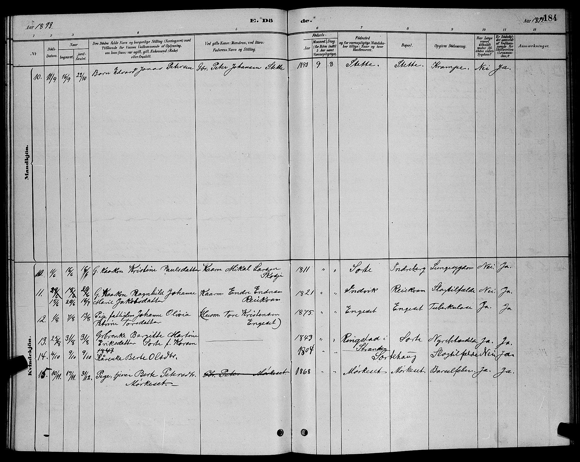 Ministerialprotokoller, klokkerbøker og fødselsregistre - Møre og Romsdal, AV/SAT-A-1454/524/L0365: Klokkerbok nr. 524C06, 1880-1899, s. 184