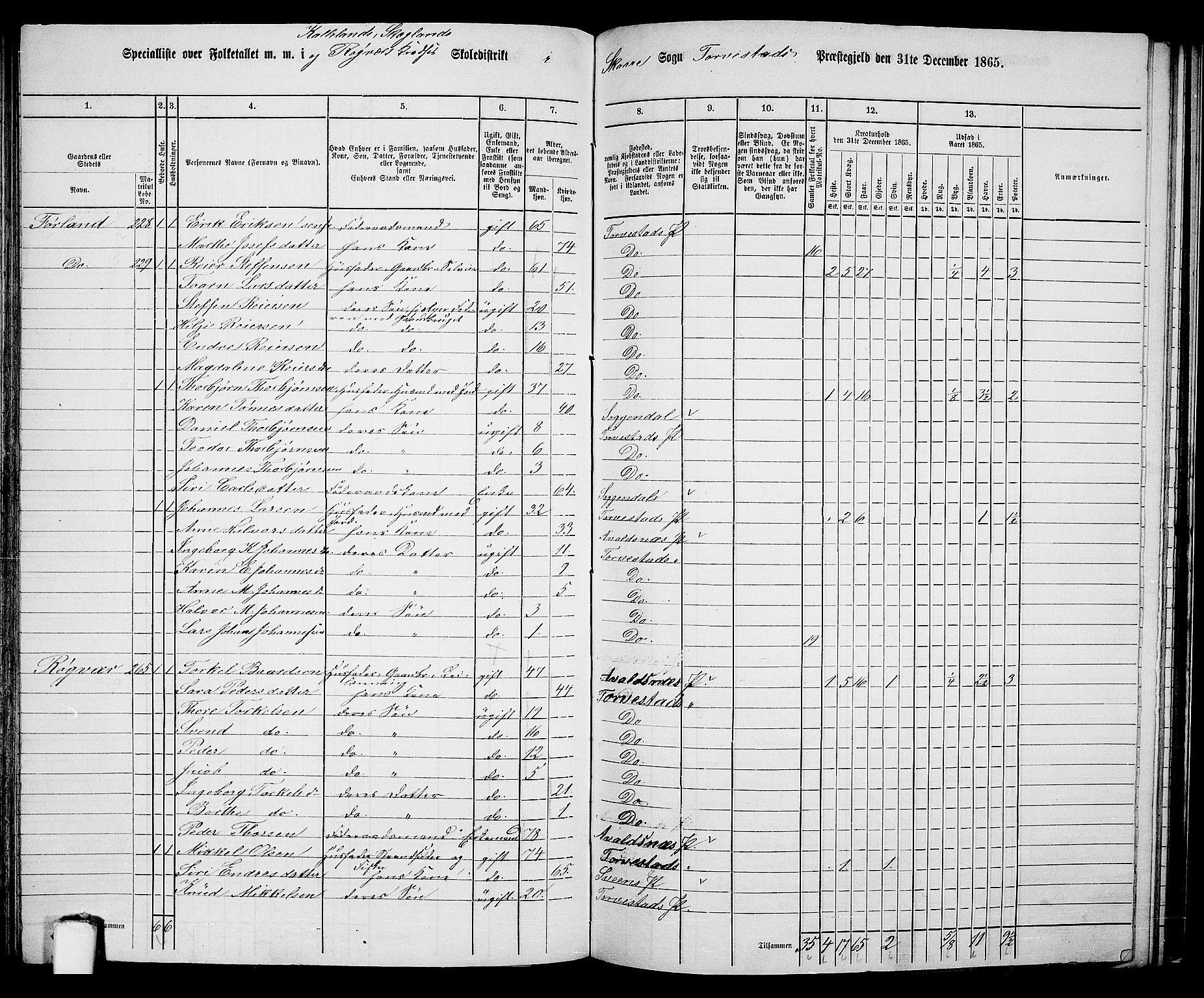 RA, Folketelling 1865 for 1152L Torvastad prestegjeld, Torvastad sokn, Skåre sokn og Utsira sokn, 1865, s. 119