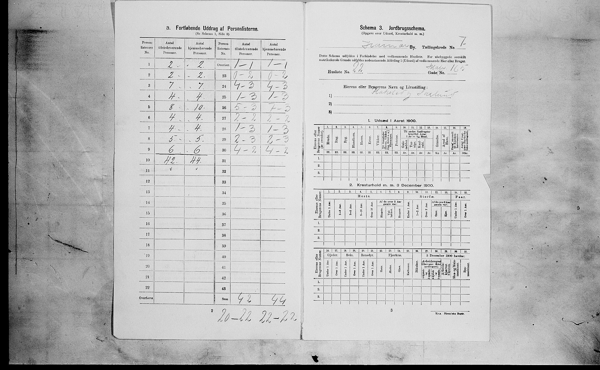 SAH, Folketelling 1900 for 0401 Hamar kjøpstad, 1900, s. 2292