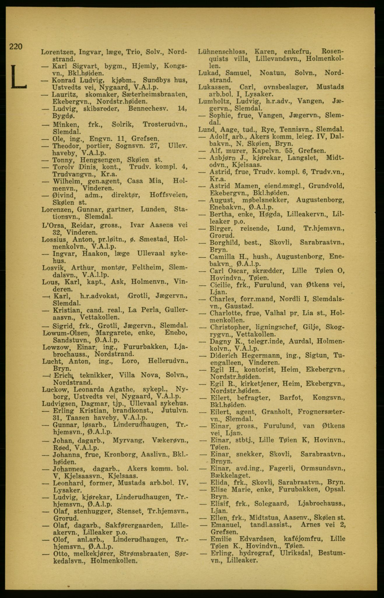 Aker adressebok/adressekalender, PUBL/001/A/003: Akers adressekalender, 1924-1925, s. 220