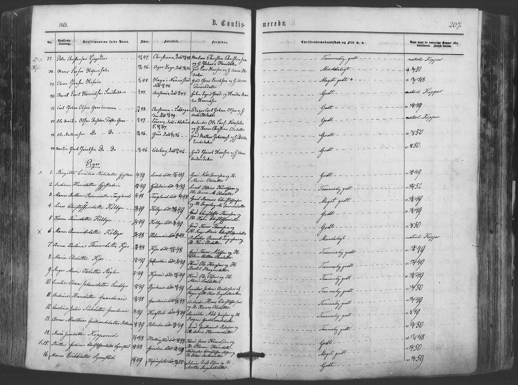 Ullensaker prestekontor Kirkebøker, AV/SAO-A-10236a/F/Fa/L0016: Ministerialbok nr. I 16, 1863-1875, s. 207