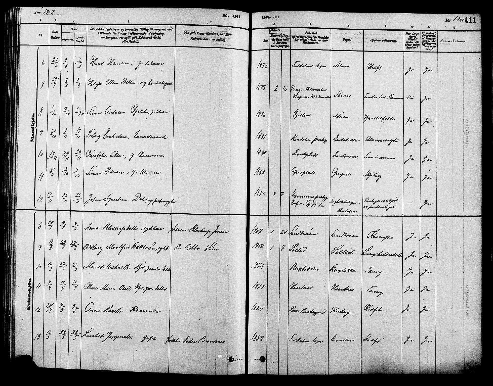 Alvdal prestekontor, AV/SAH-PREST-060/H/Ha/Hab/L0003: Klokkerbok nr. 3, 1878-1907, s. 411