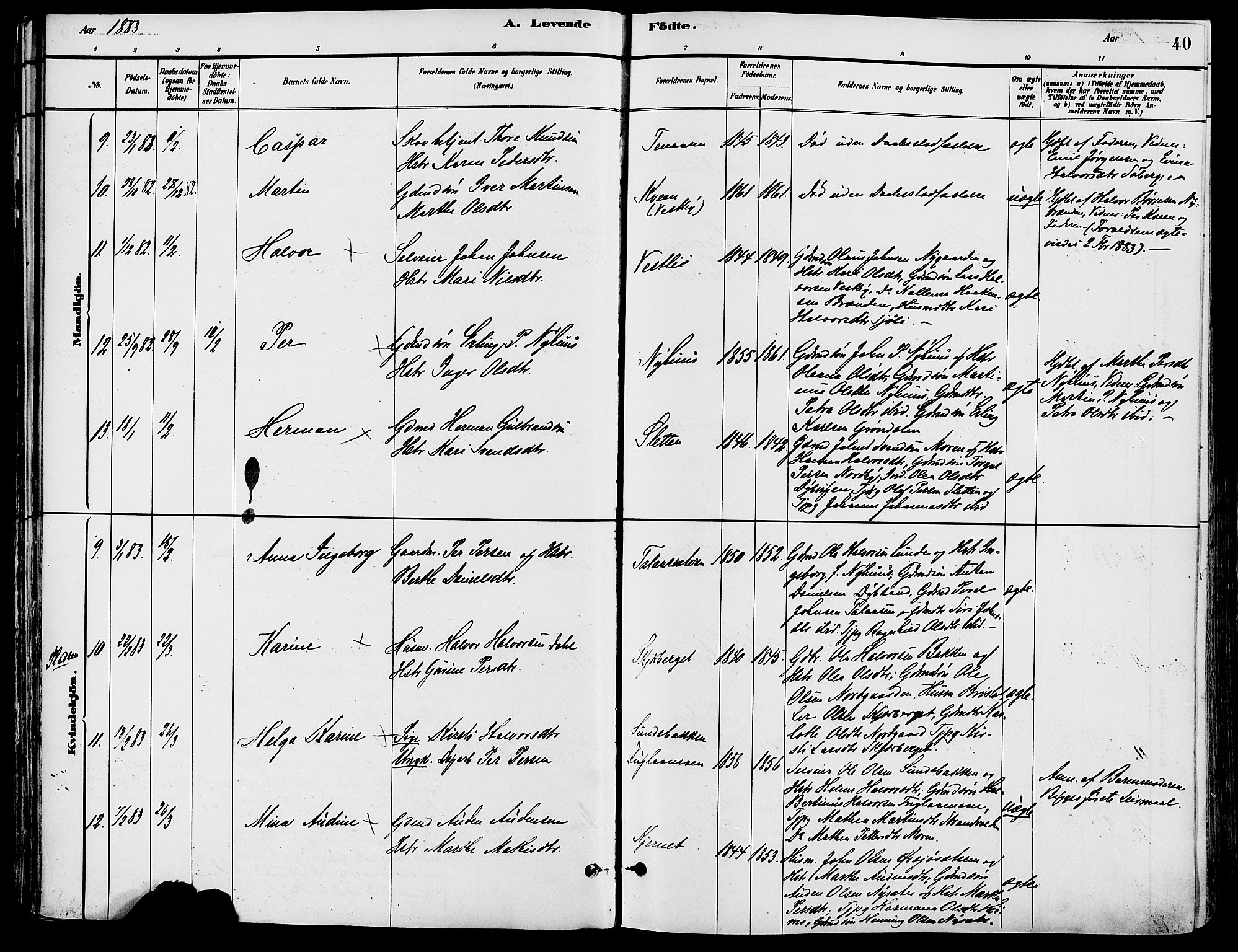 Trysil prestekontor, AV/SAH-PREST-046/H/Ha/Haa/L0008: Ministerialbok nr. 8, 1881-1897, s. 40