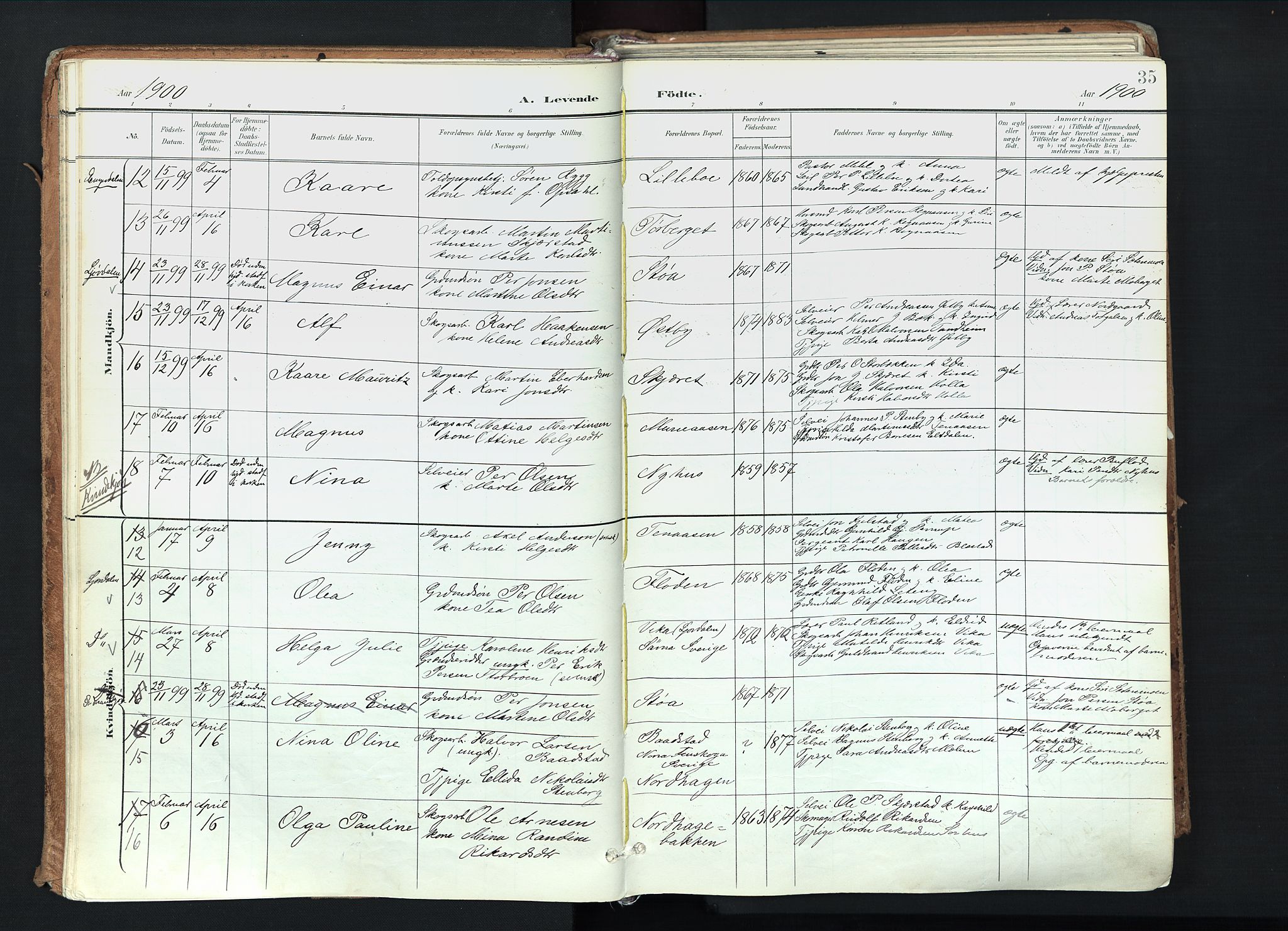 Trysil prestekontor, AV/SAH-PREST-046/H/Ha/Haa/L0012: Ministerialbok nr. 12, 1898-1917, s. 35