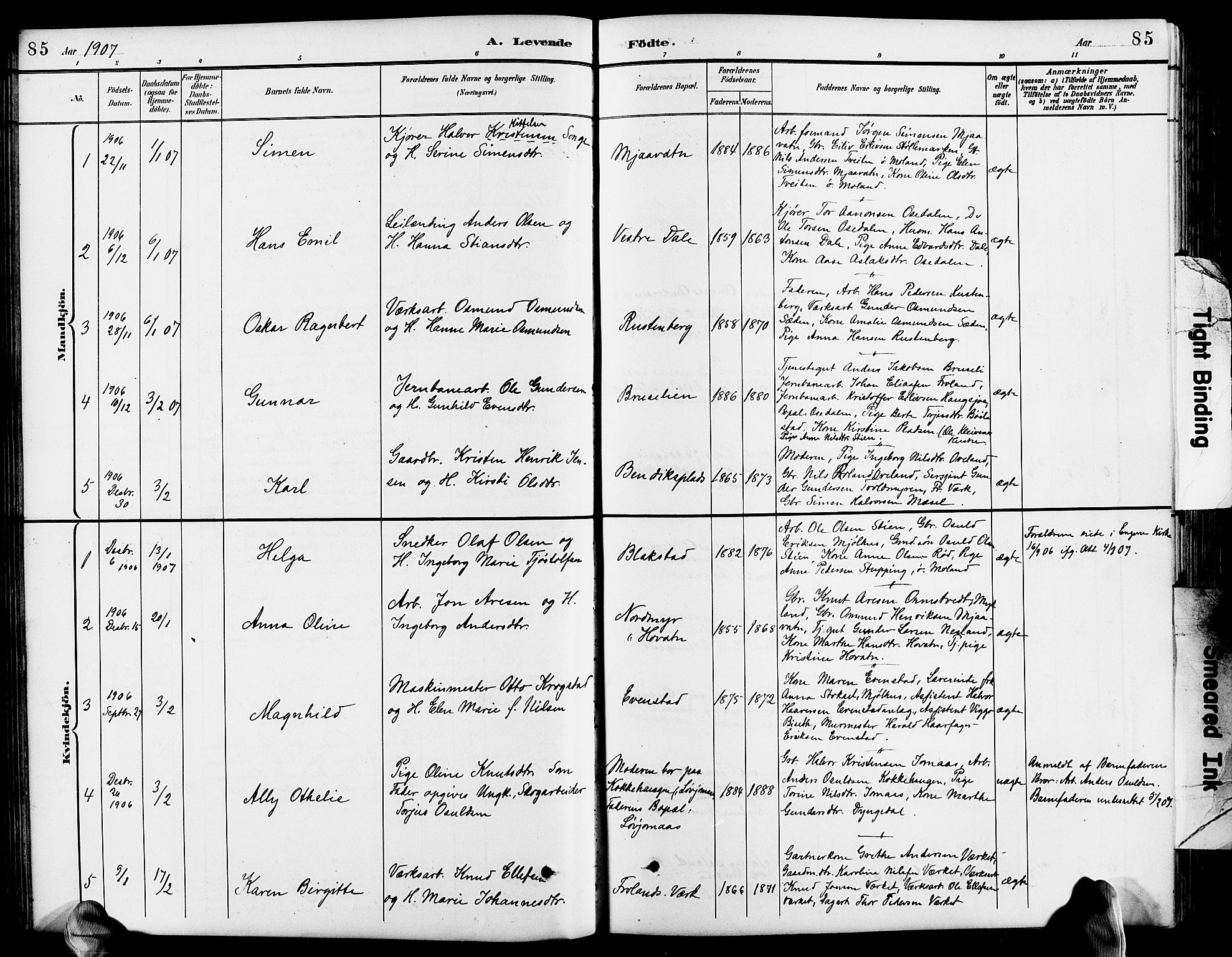 Froland sokneprestkontor, AV/SAK-1111-0013/F/Fb/L0010: Klokkerbok nr. B 10, 1893-1920, s. 85
