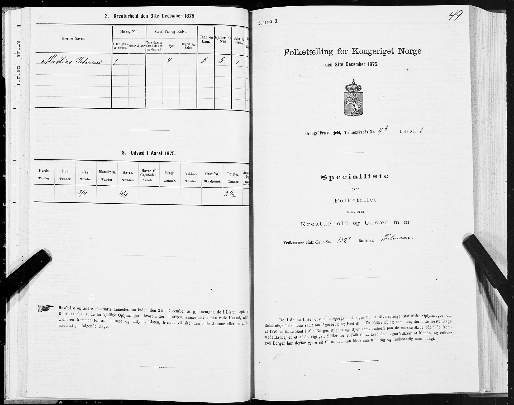 SAT, Folketelling 1875 for 1742P Grong prestegjeld, 1875, s. 3049