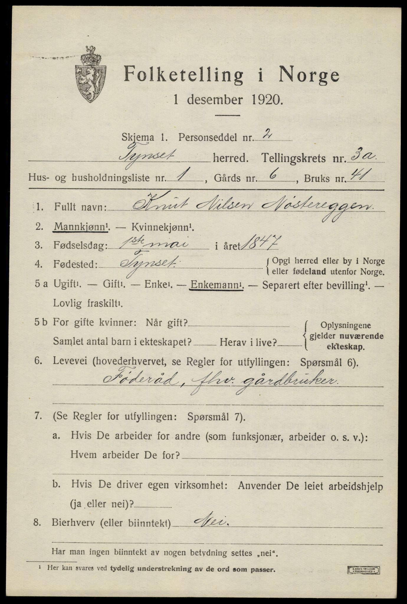 SAH, Folketelling 1920 for 0437 Tynset herred, 1920, s. 2902