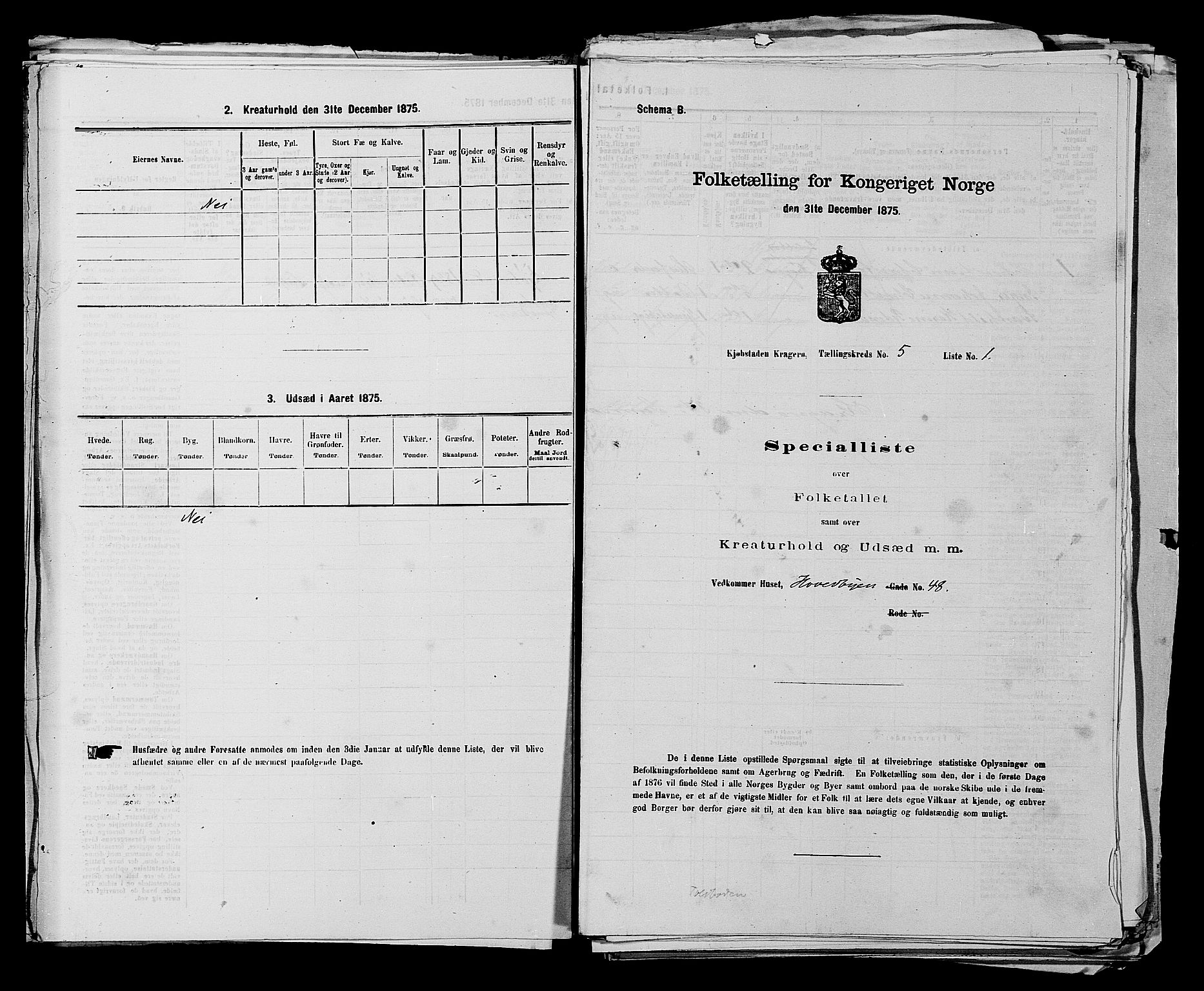 SAKO, Folketelling 1875 for 0801P Kragerø prestegjeld, 1875, s. 106