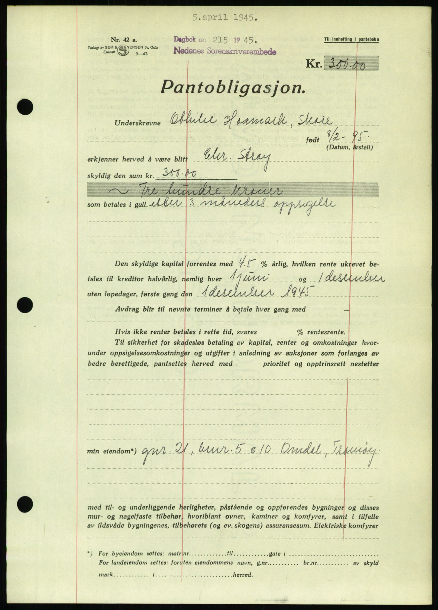 Nedenes sorenskriveri, SAK/1221-0006/G/Gb/Gbb/L0002: Pantebok nr. II, 1942-1945, Dagboknr: 215/1945