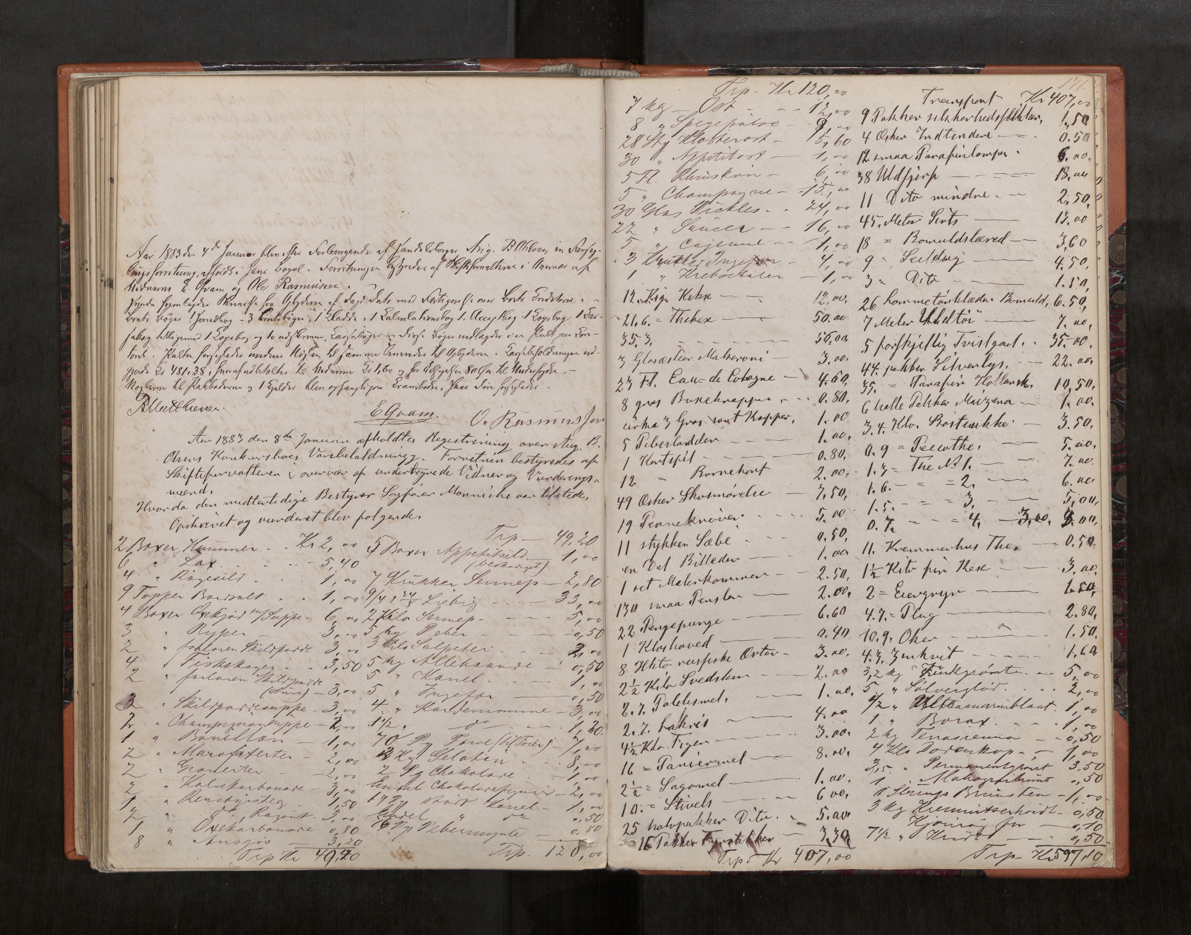 Molde byfogd, AV/SAT-A-0025/3/3C/L0002: Skifteregistreringsprotokoll, 1867-1883, s. 171