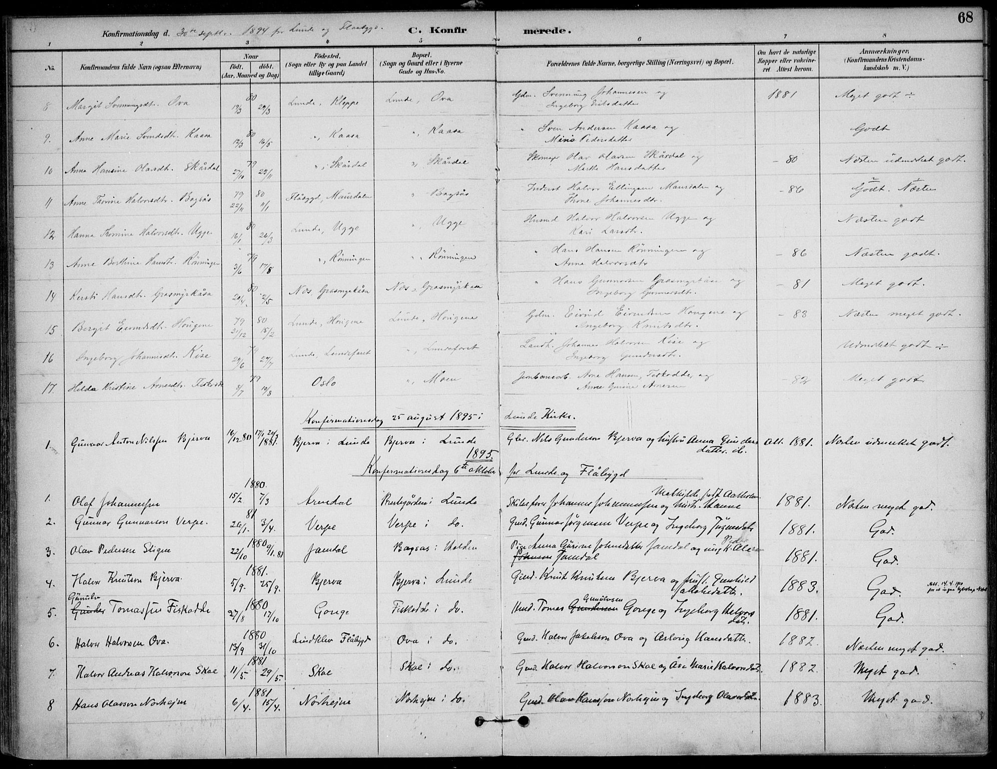 Lunde kirkebøker, AV/SAKO-A-282/F/Fa/L0003: Ministerialbok nr. I 3, 1893-1902, s. 68