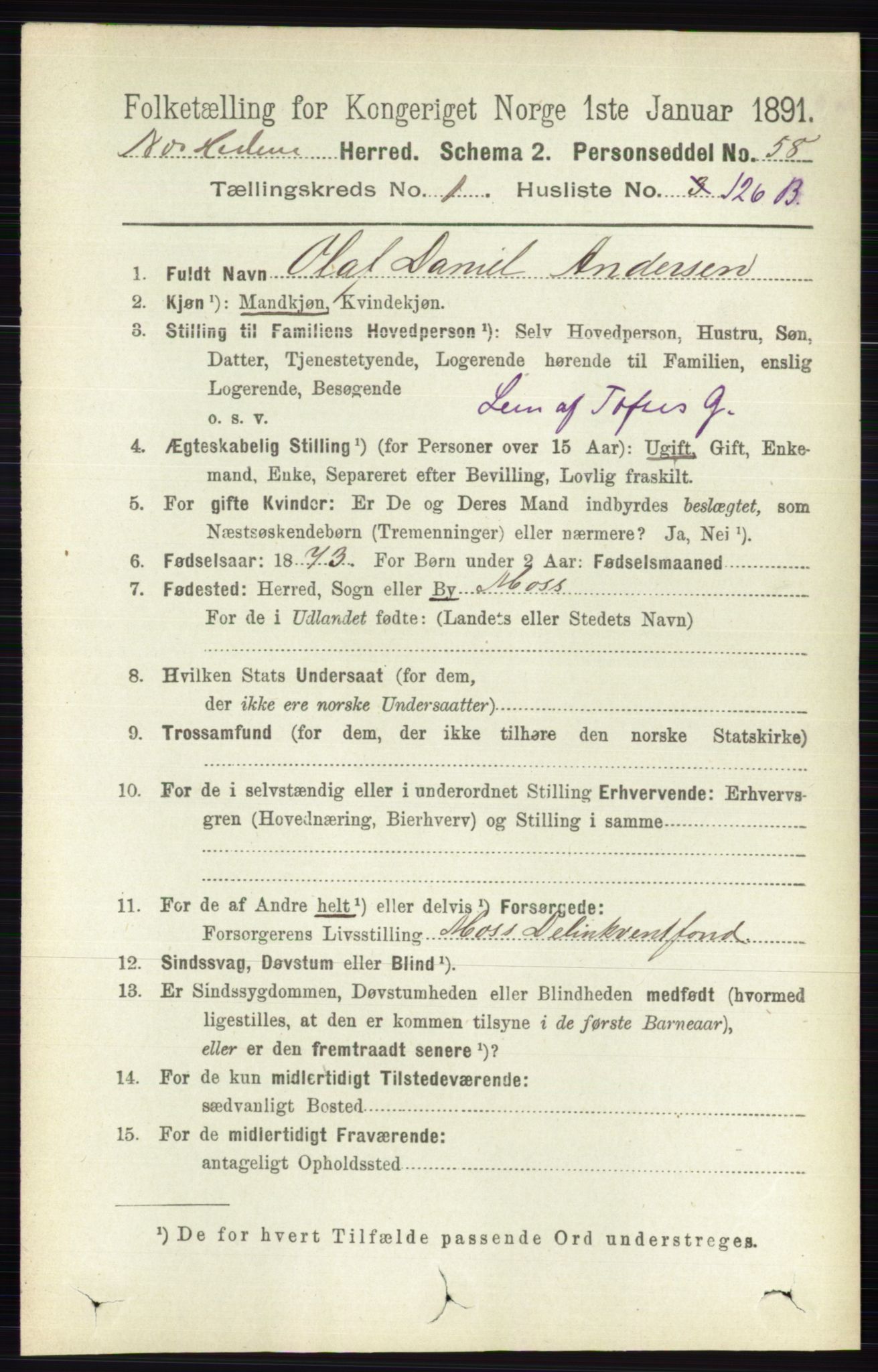RA, Folketelling 1891 for 0411 Nes herred, 1891, s. 965