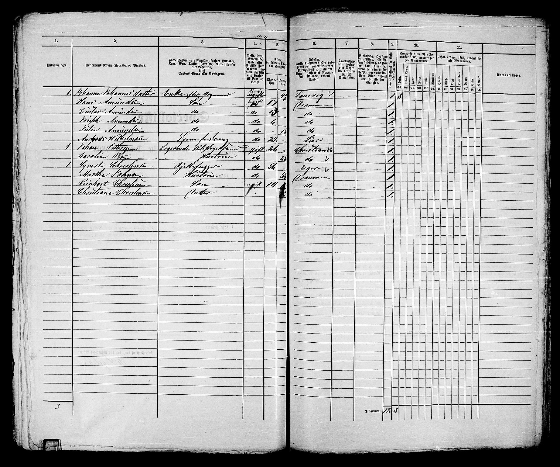 RA, Folketelling 1865 for 0602bP Strømsø prestegjeld i Drammen kjøpstad, 1865, s. 410