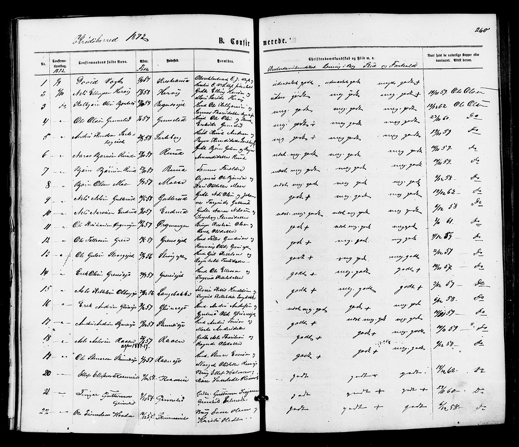 Sigdal kirkebøker, SAKO/A-245/F/Fa/L0010: Ministerialbok nr. I 10 /2, 1872-1878, s. 260