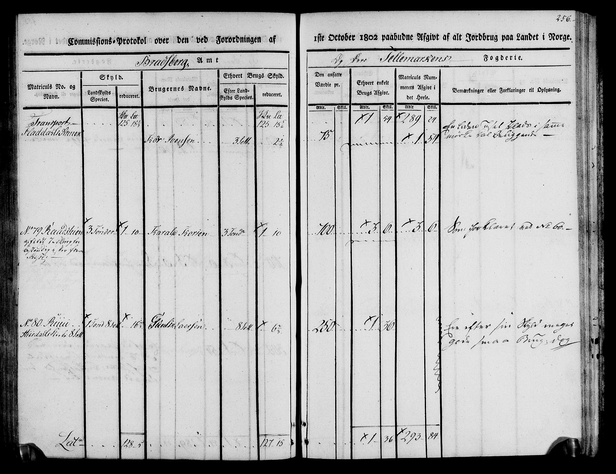 Rentekammeret inntil 1814, Realistisk ordnet avdeling, AV/RA-EA-4070/N/Ne/Nea/L0074: Øvre Telemarken fogderi. Kommisjonsprotokoll for fogderiets østre del - Tinn, Hjartdal og Seljord prestegjeld., 1803, s. 256