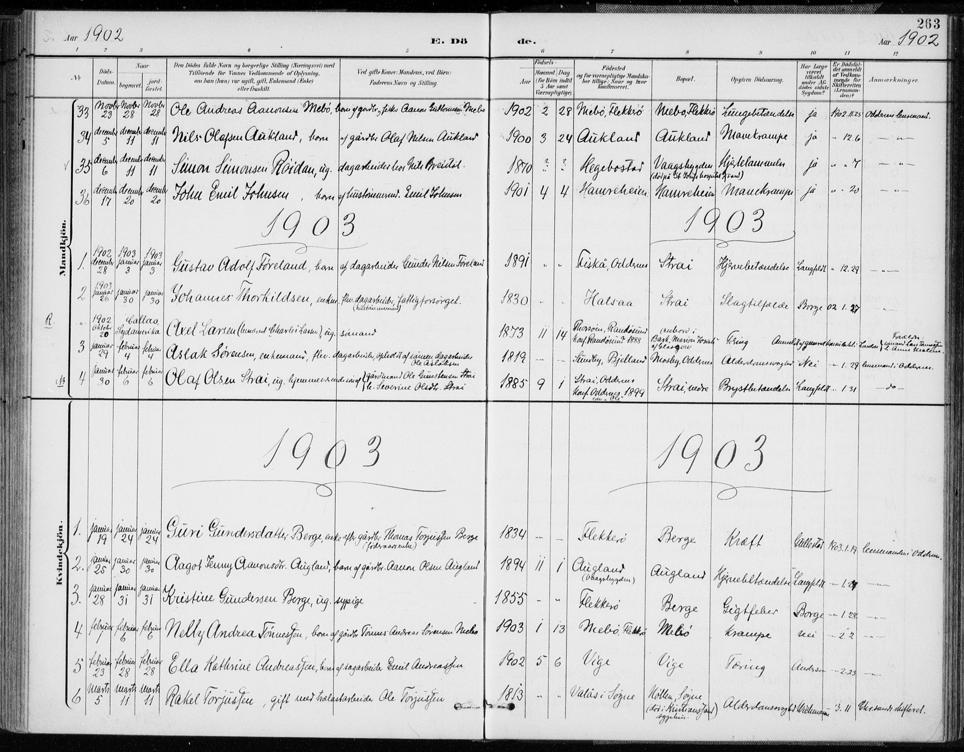 Oddernes sokneprestkontor, SAK/1111-0033/F/Fa/Faa/L0010: Ministerialbok nr. A 10, 1897-1911, s. 263