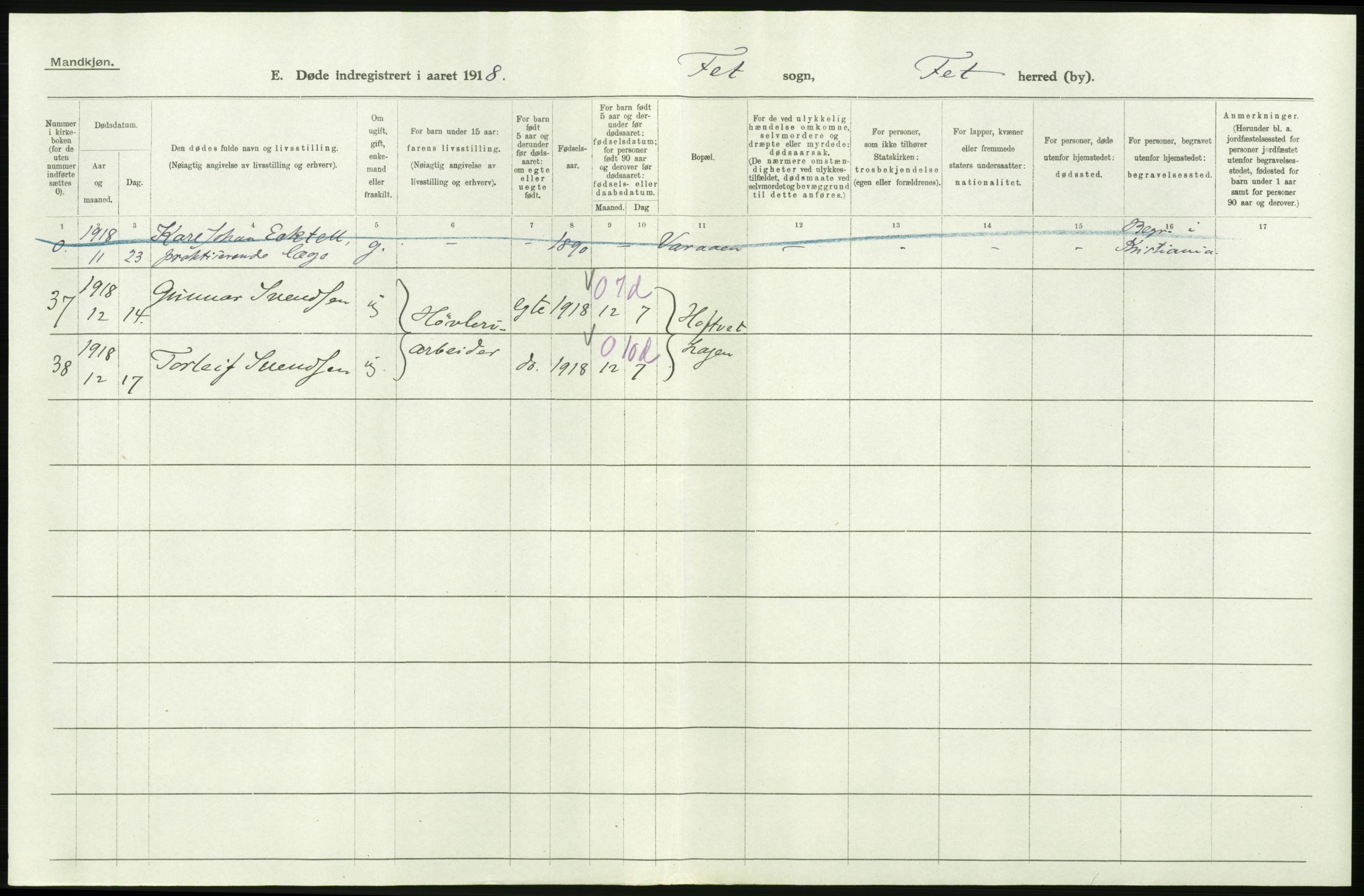 Statistisk sentralbyrå, Sosiodemografiske emner, Befolkning, RA/S-2228/D/Df/Dfb/Dfbh/L0006: Akershus fylke: Døde. Bygder og byer., 1918, s. 226