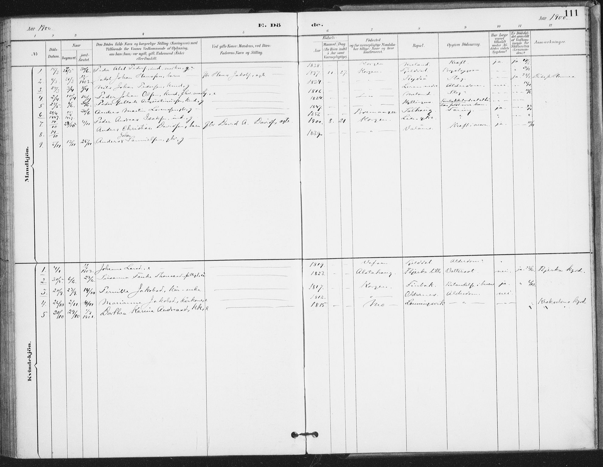 Ministerialprotokoller, klokkerbøker og fødselsregistre - Nordland, SAT/A-1459/826/L0380: Ministerialbok nr. 826A03, 1891-1911, s. 111