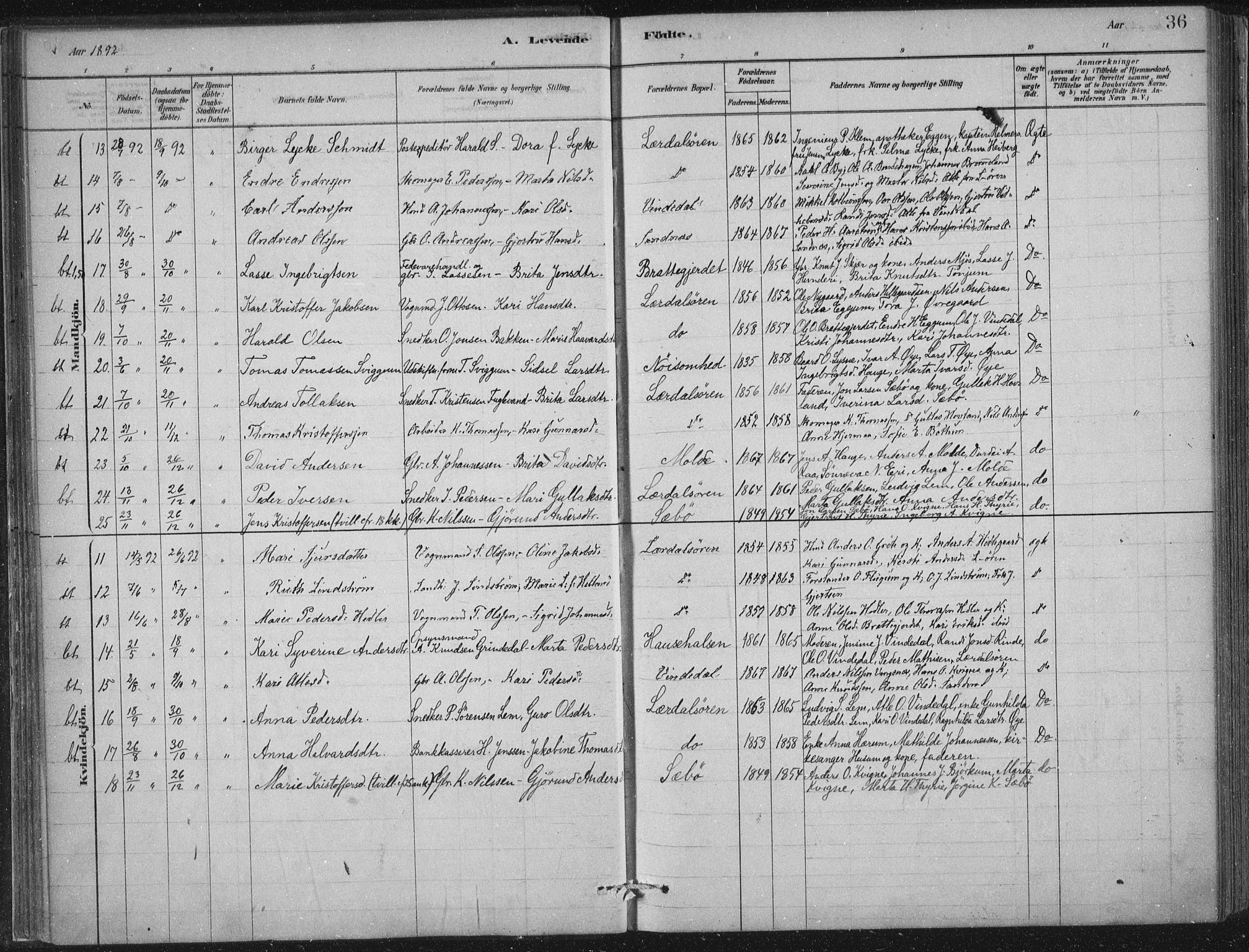 Lærdal sokneprestembete, AV/SAB-A-81201: Ministerialbok nr. D  1, 1878-1908, s. 36
