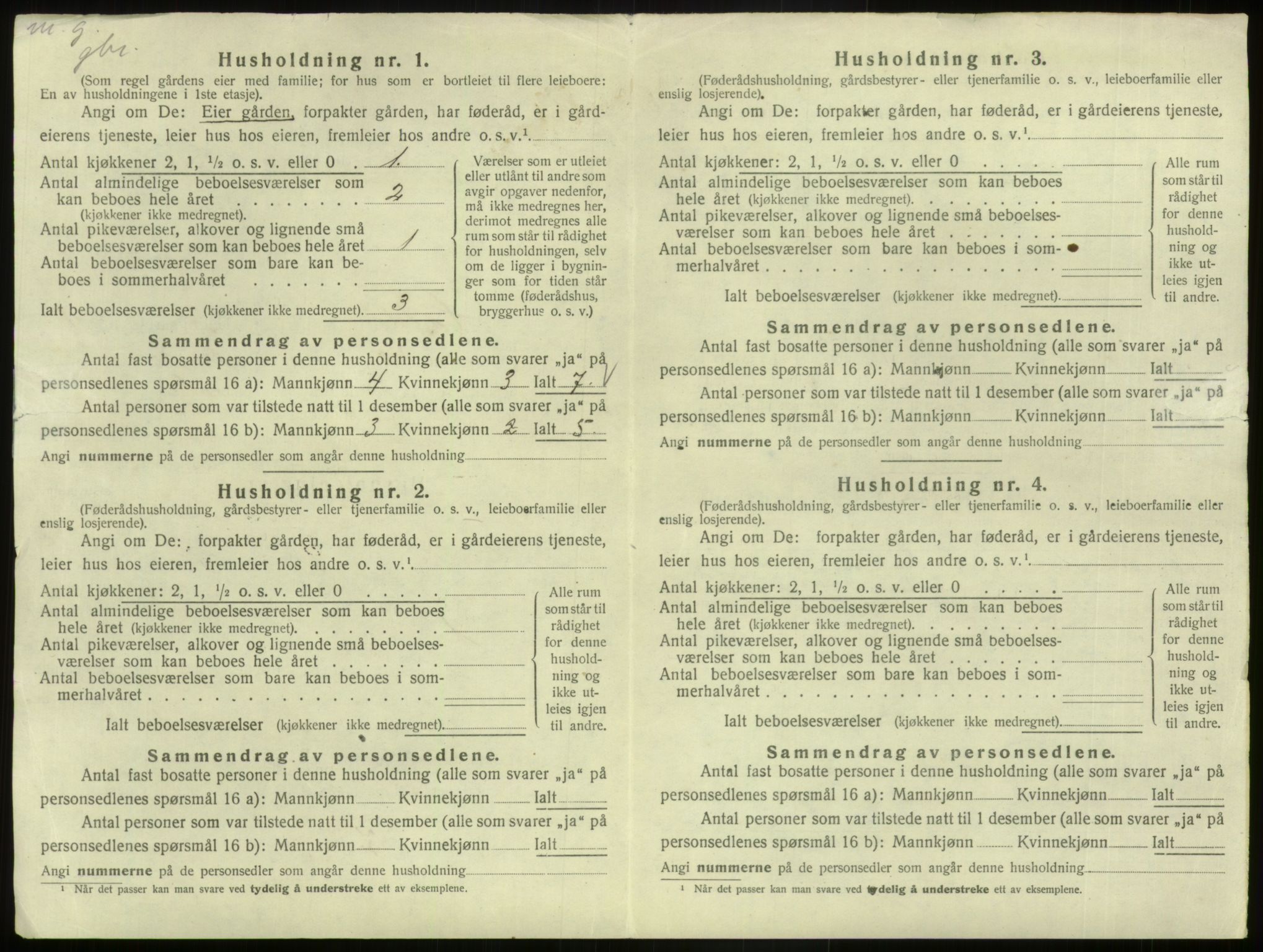 SAB, Folketelling 1920 for 1425 Hafslo herred, 1920, s. 37
