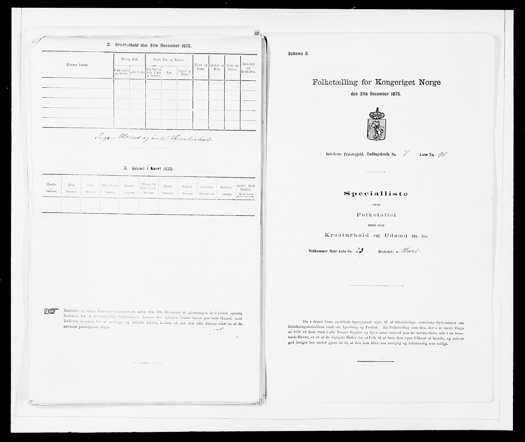 SAB, Folketelling 1875 for 1447P Innvik prestegjeld, 1875, s. 891