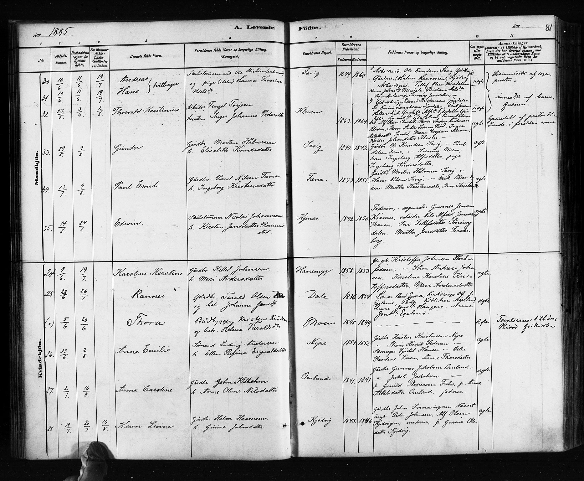Søndeled sokneprestkontor, AV/SAK-1111-0038/F/Fa/L0004: Ministerialbok nr. A 4, 1880-1889, s. 81