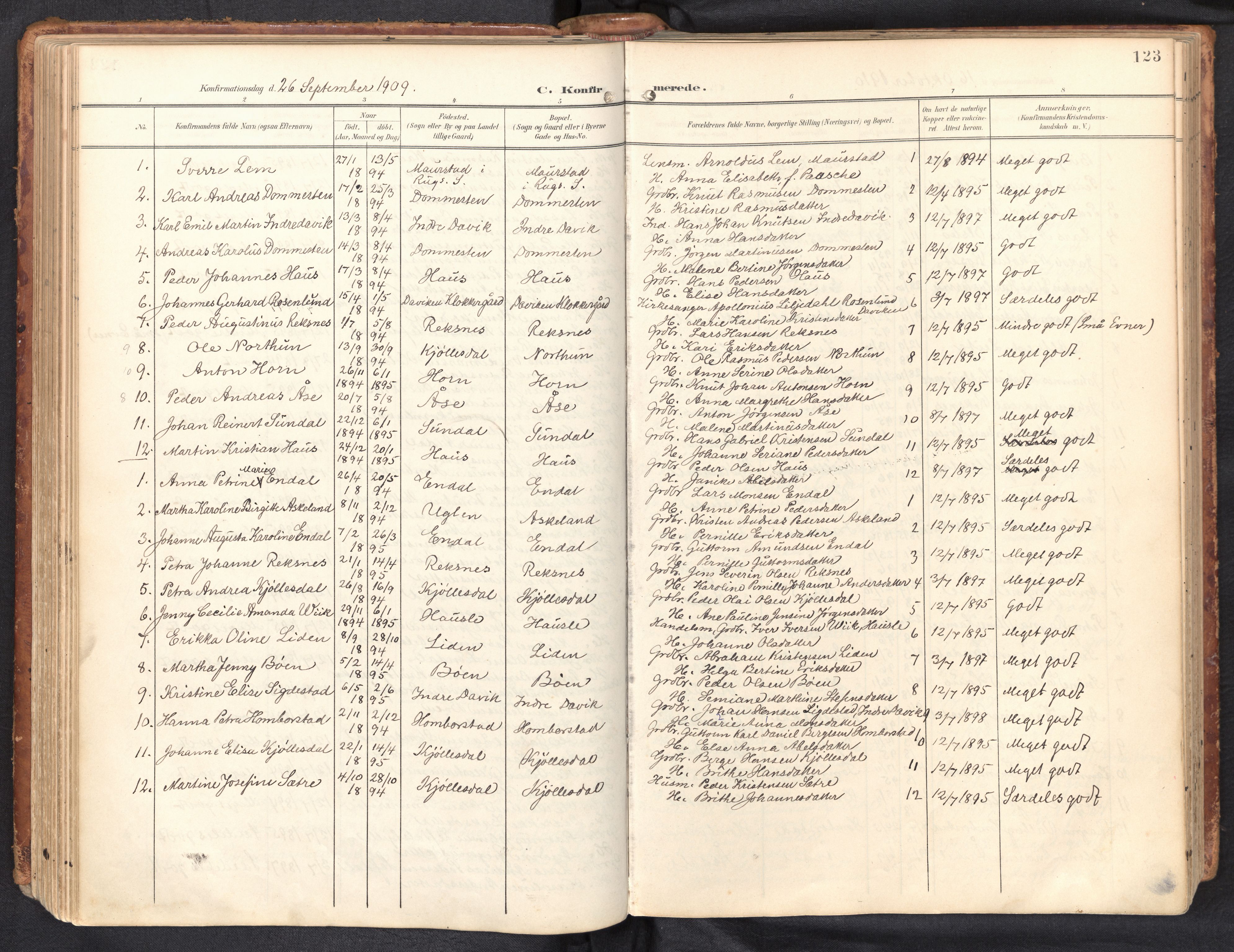 Davik sokneprestembete, AV/SAB-A-79701/H/Haa/Haab/L0002: Ministerialbok nr. B 2, 1901-1934, s. 123