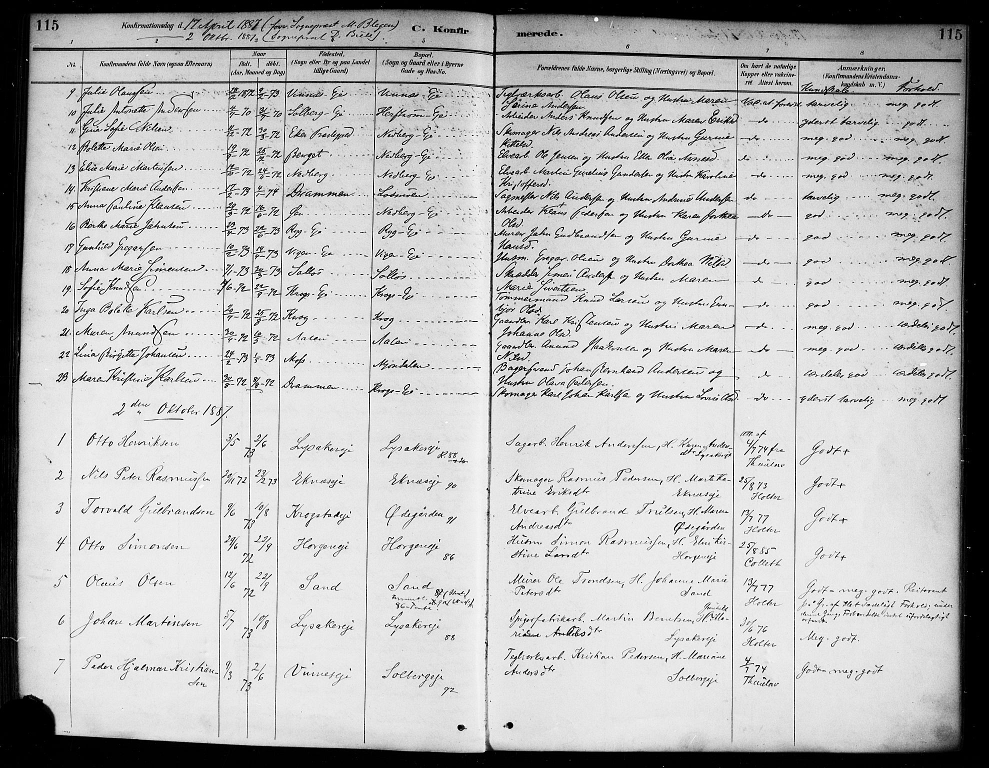Nedre Eiker kirkebøker, AV/SAKO-A-612/F/Fa/L0003: Ministerialbok nr. 3, 1885-1892, s. 115