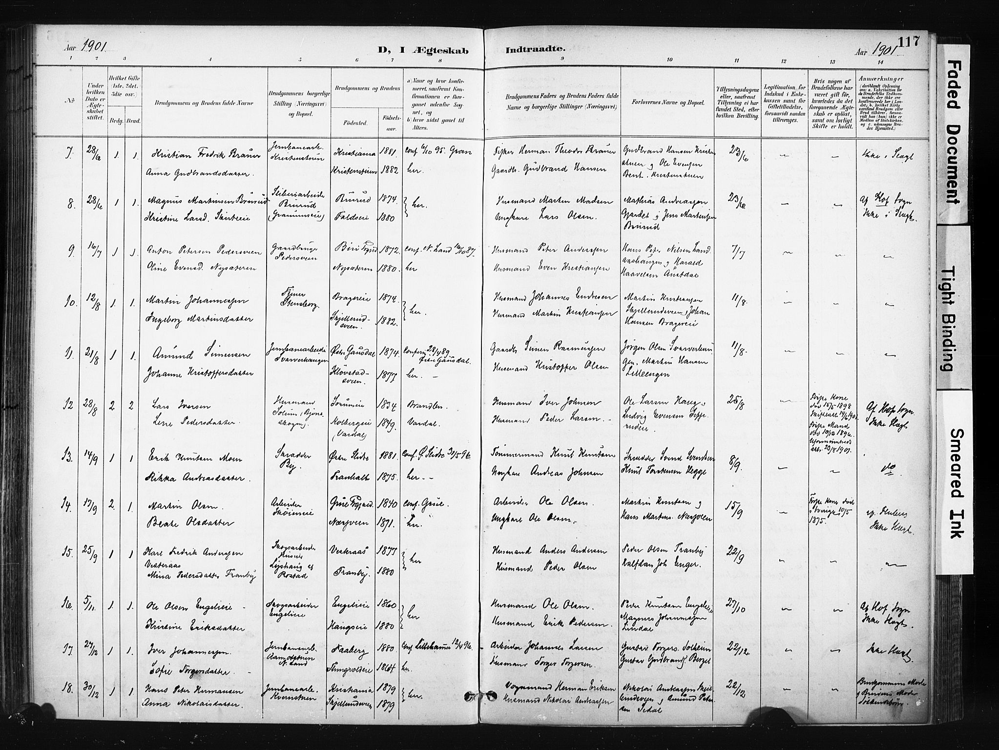 Søndre Land prestekontor, SAH/PREST-122/K/L0004: Ministerialbok nr. 4, 1895-1904, s. 117