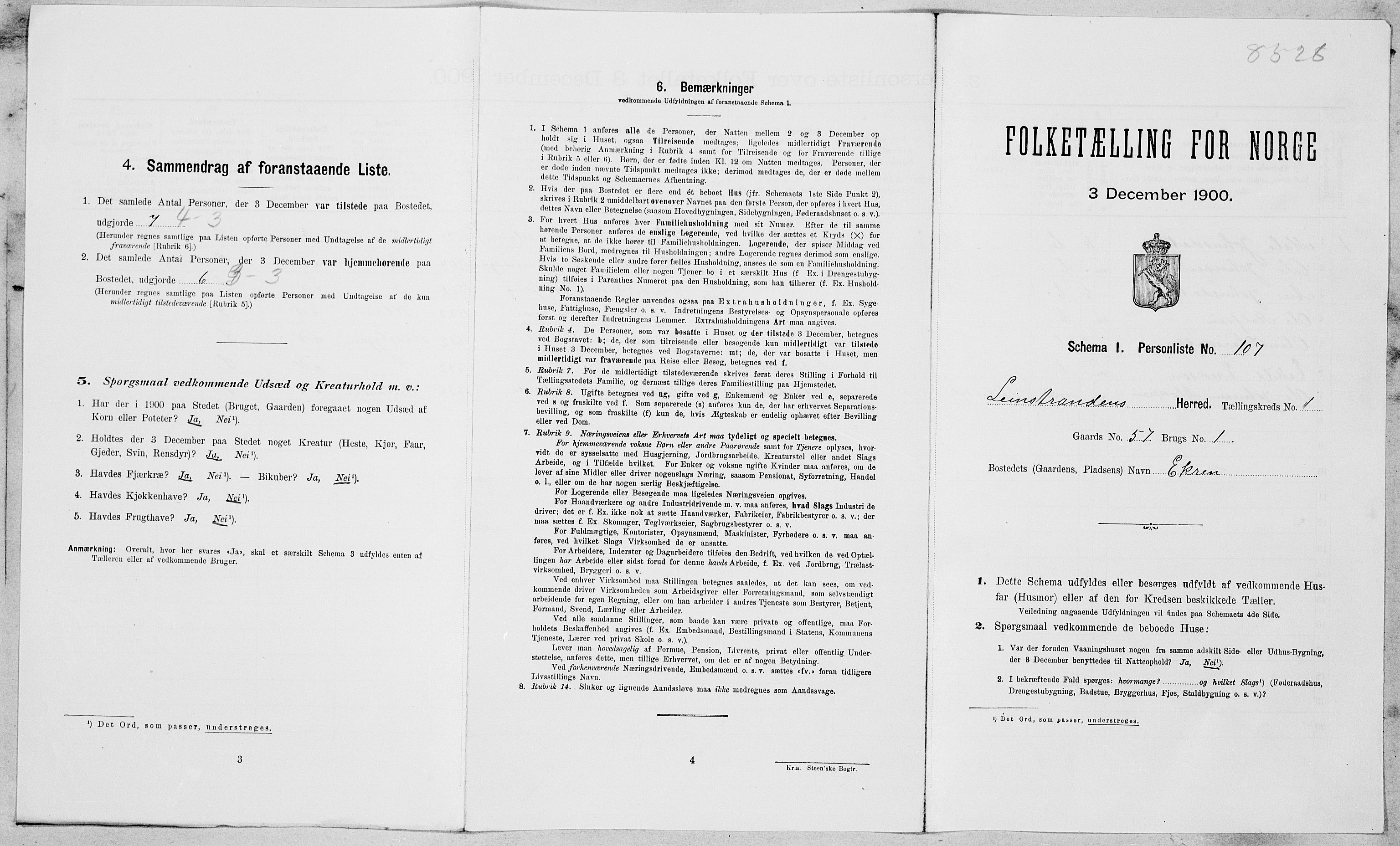SAT, Folketelling 1900 for 1654 Leinstrand herred, 1900, s. 225