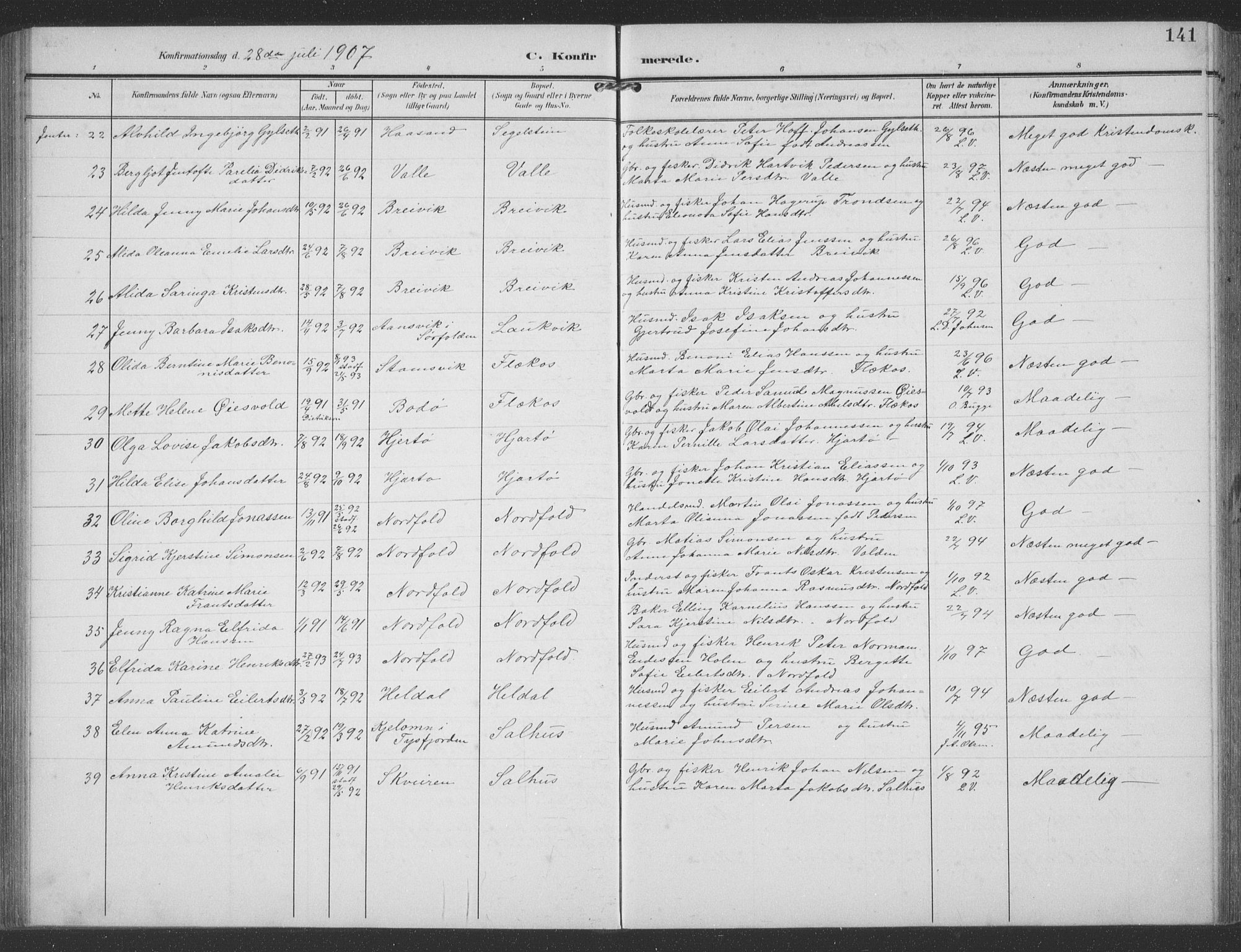 Ministerialprotokoller, klokkerbøker og fødselsregistre - Nordland, AV/SAT-A-1459/858/L0835: Klokkerbok nr. 858C02, 1904-1940, s. 141