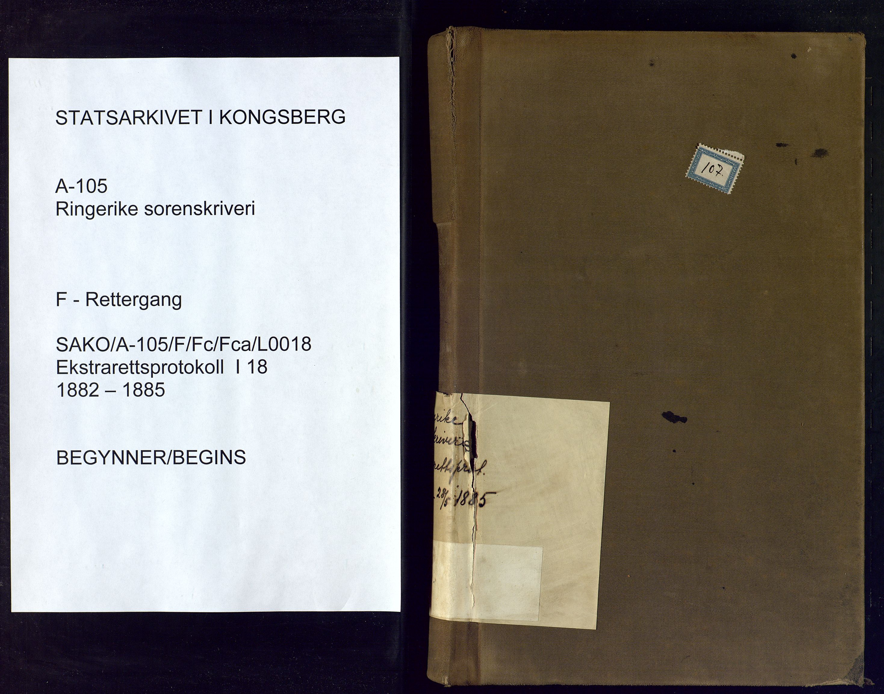 Ringerike sorenskriveri, SAKO/A-105/F/Fc/Fca/L0018: Ekstrarettsprotokoll, 1882-1885