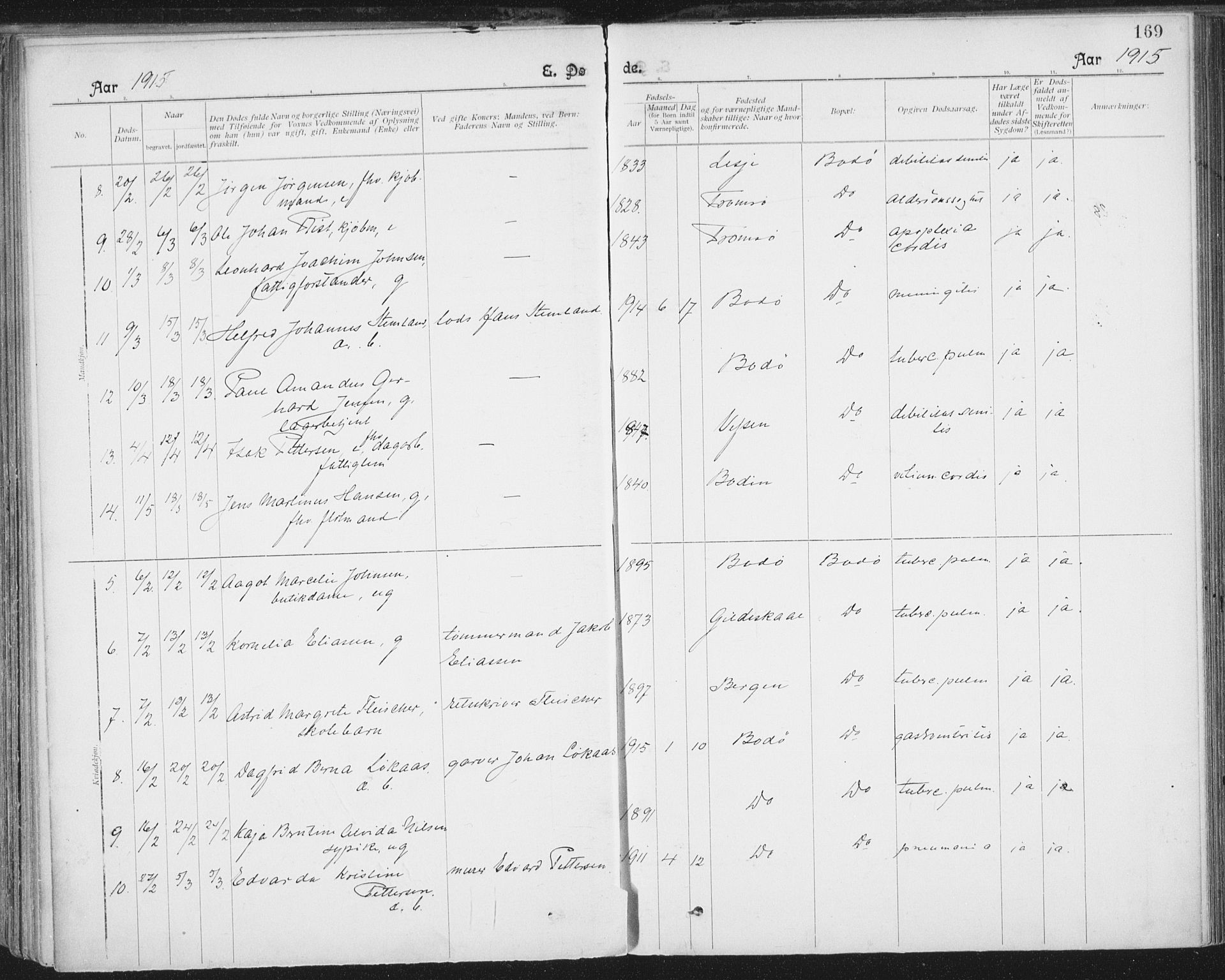 Ministerialprotokoller, klokkerbøker og fødselsregistre - Nordland, SAT/A-1459/801/L0012: Ministerialbok nr. 801A12, 1900-1916, s. 169