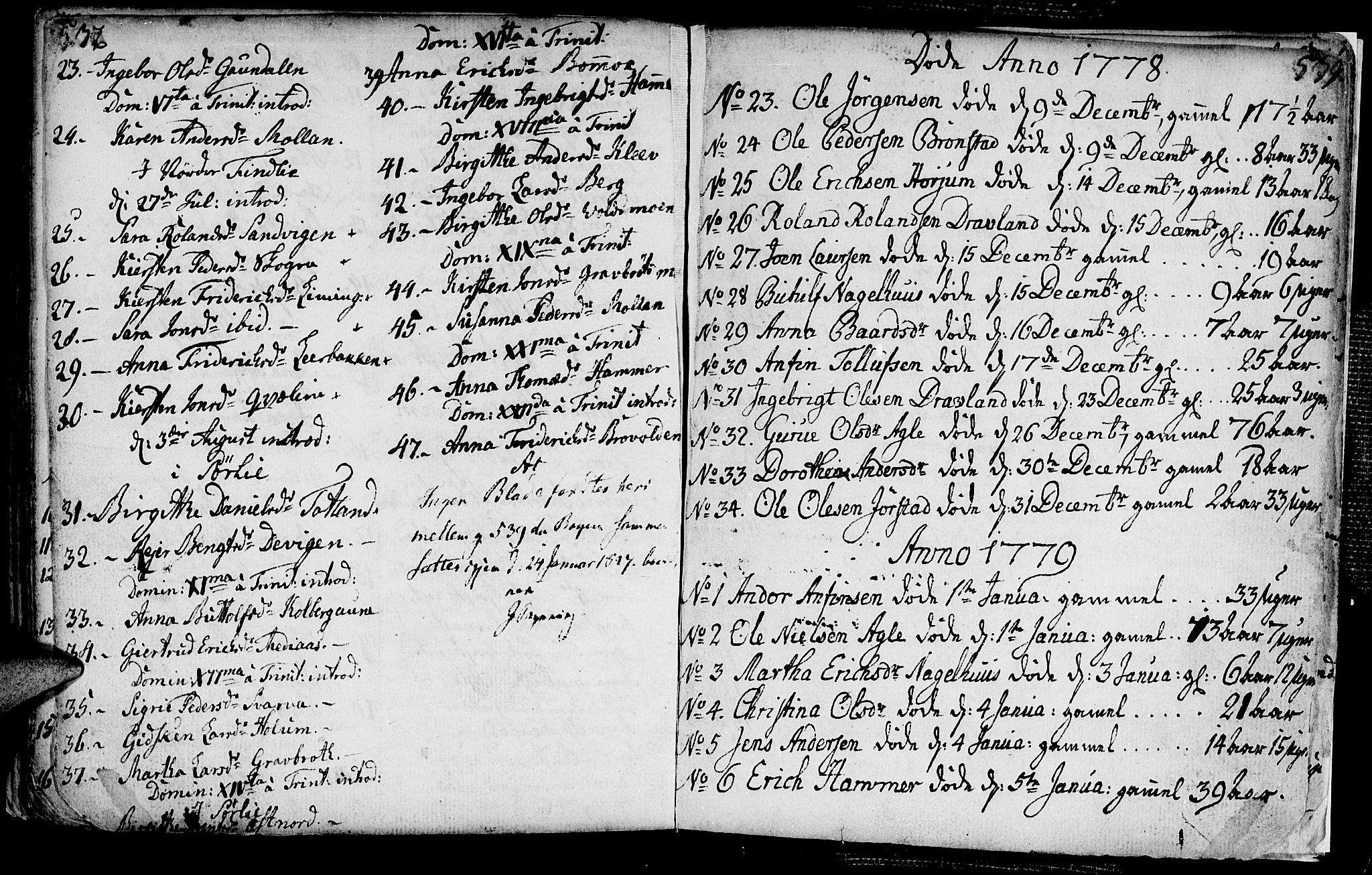 Ministerialprotokoller, klokkerbøker og fødselsregistre - Nord-Trøndelag, AV/SAT-A-1458/749/L0467: Ministerialbok nr. 749A01, 1733-1787, s. 532-539