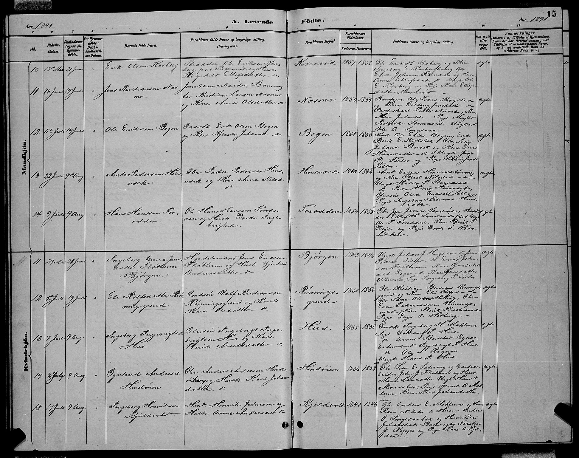 Ministerialprotokoller, klokkerbøker og fødselsregistre - Sør-Trøndelag, SAT/A-1456/688/L1028: Klokkerbok nr. 688C03, 1889-1899, s. 15