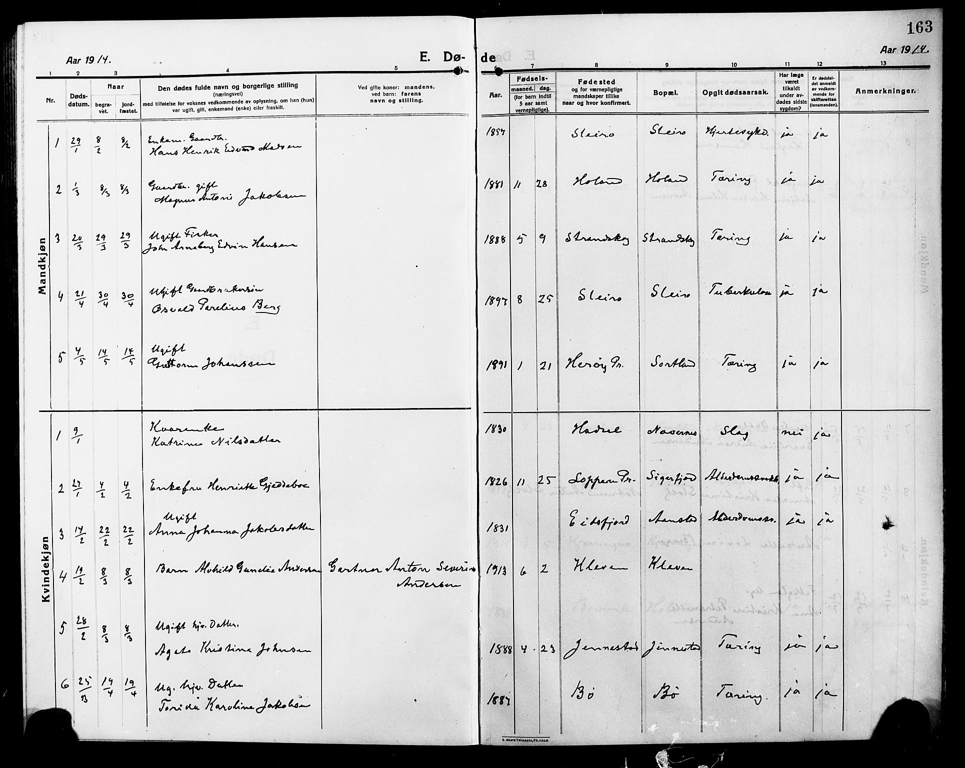 Ministerialprotokoller, klokkerbøker og fødselsregistre - Nordland, AV/SAT-A-1459/895/L1383: Klokkerbok nr. 895C05, 1913-1922, s. 163